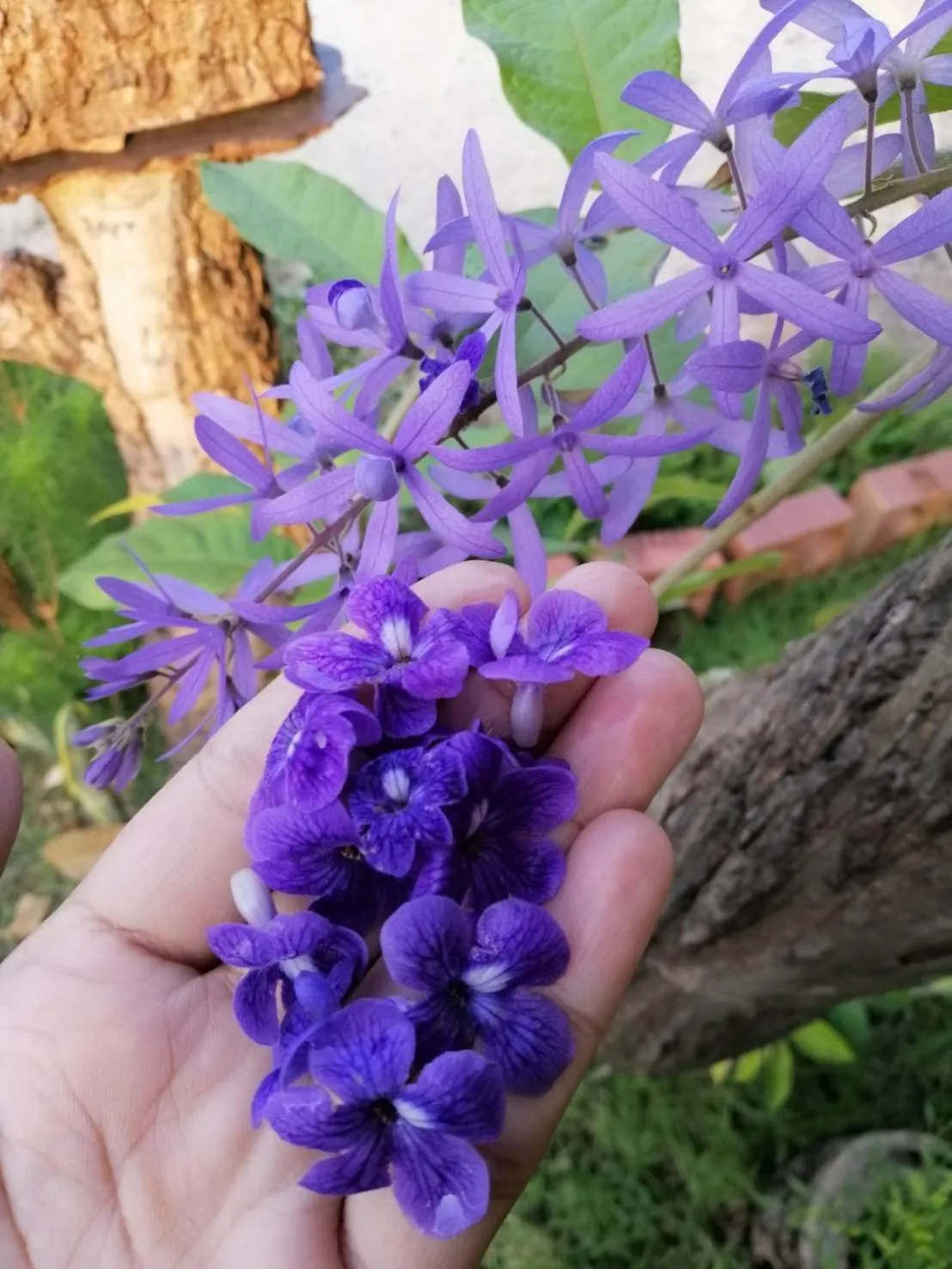 Wang Jai Kwang Space Inn