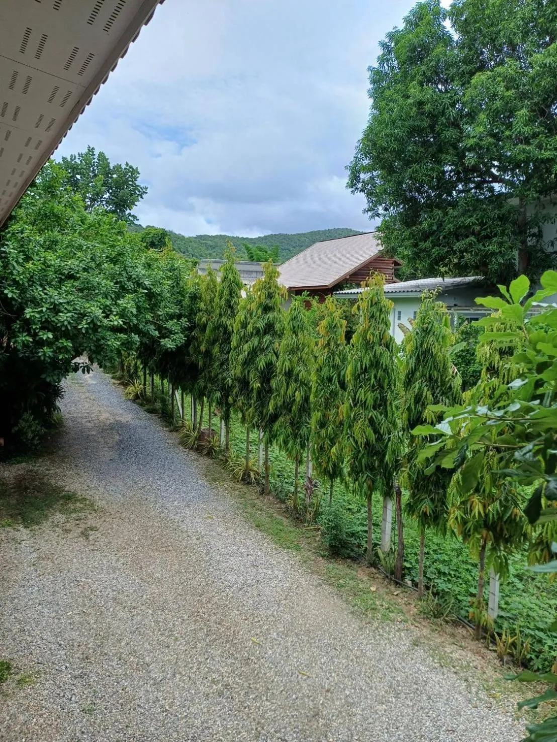 Wang Jai Kwang Space Inn