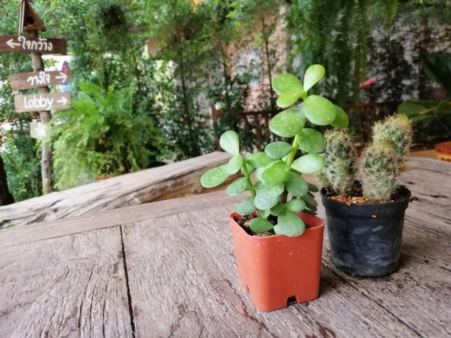 Wang Jai Kwang Space Inn