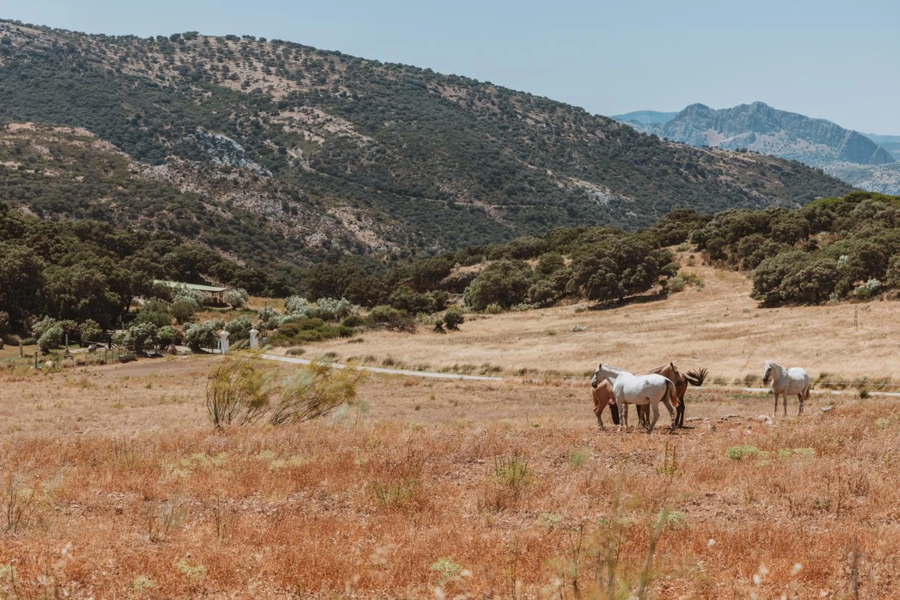 Day in Los Pilares de Ronda Boutique & Hotel