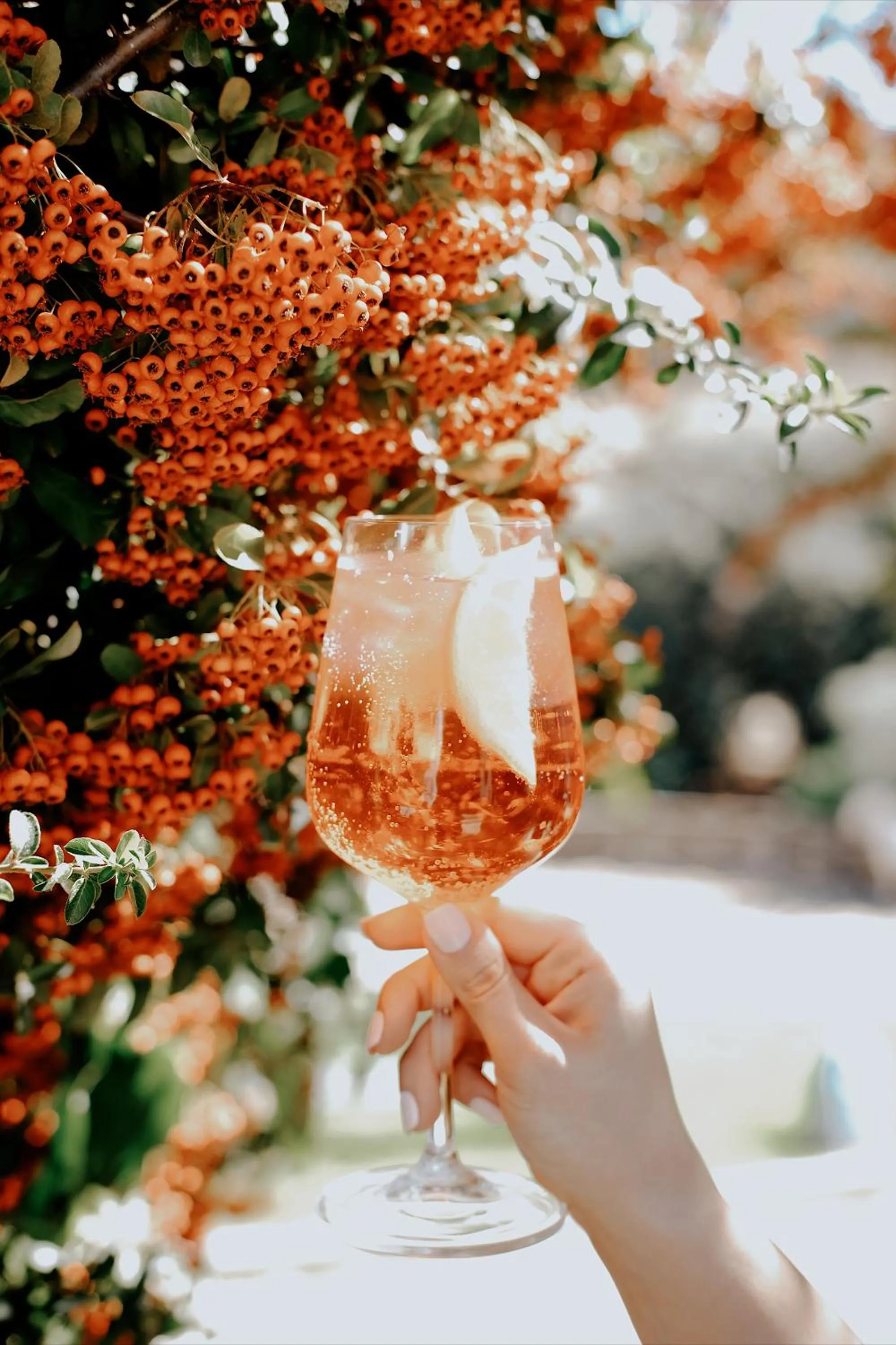 Drinks in Los Pilares de Ronda Boutique & Hotel