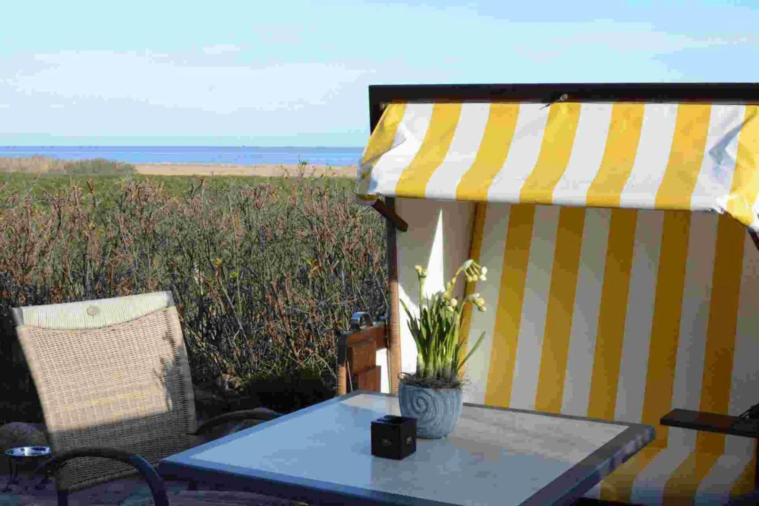 Balcony/Terrace in Hotel Watthof