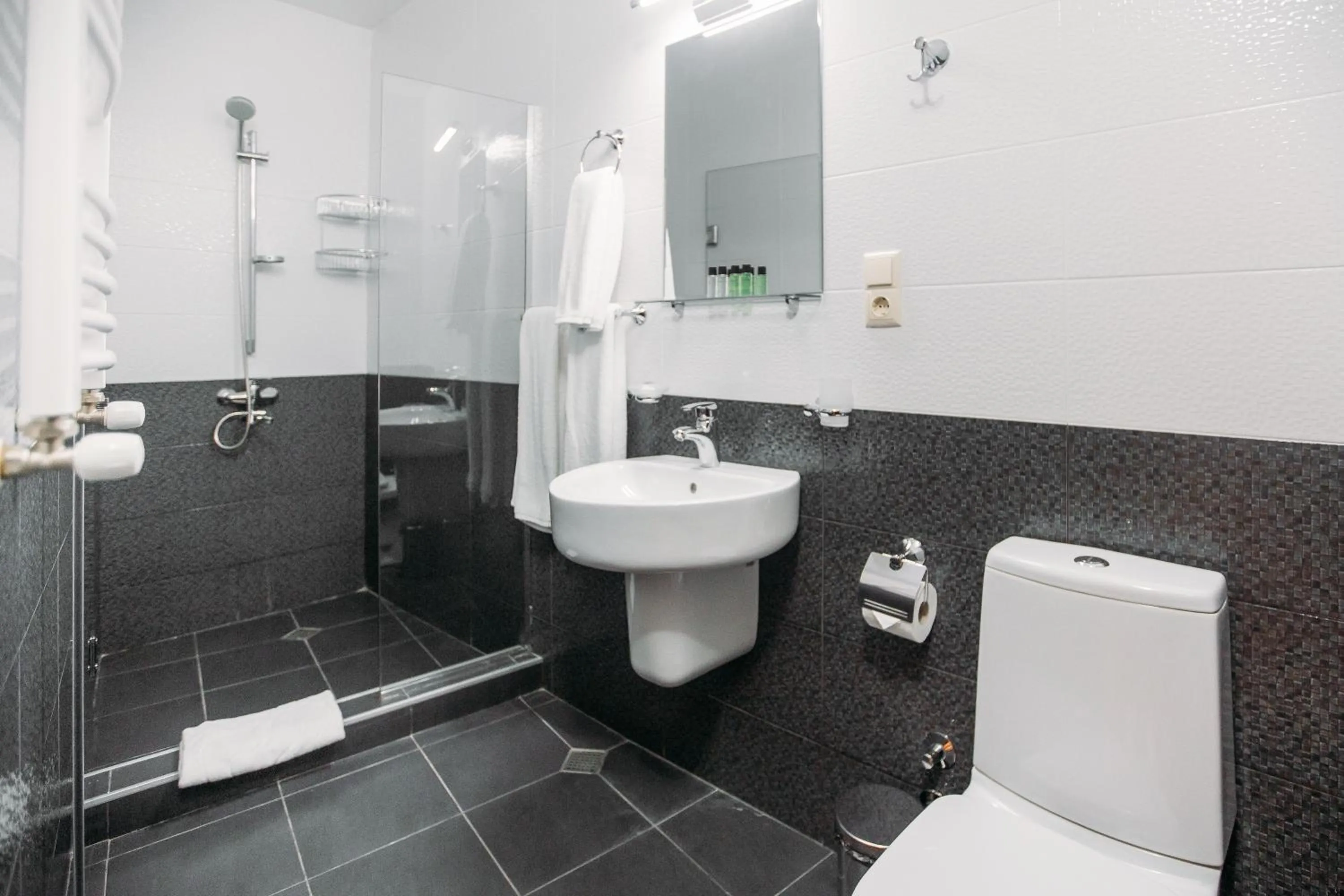 Bathroom in Le Caucase