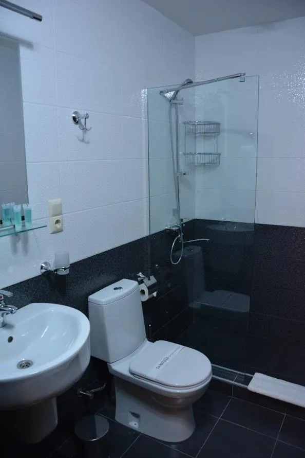 Toilet in Le Caucase