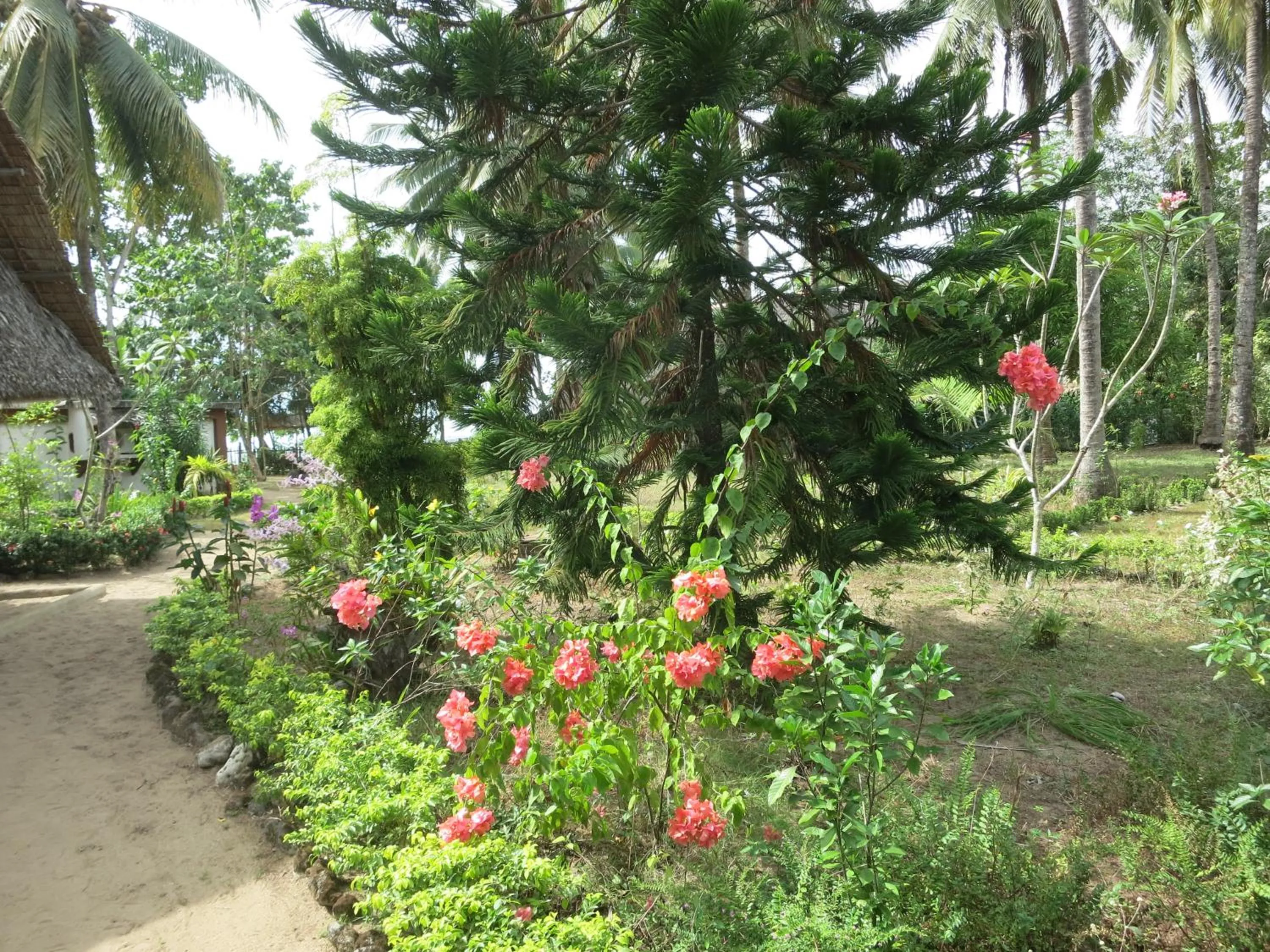 Garden view in Sugar Lounge Lodge
