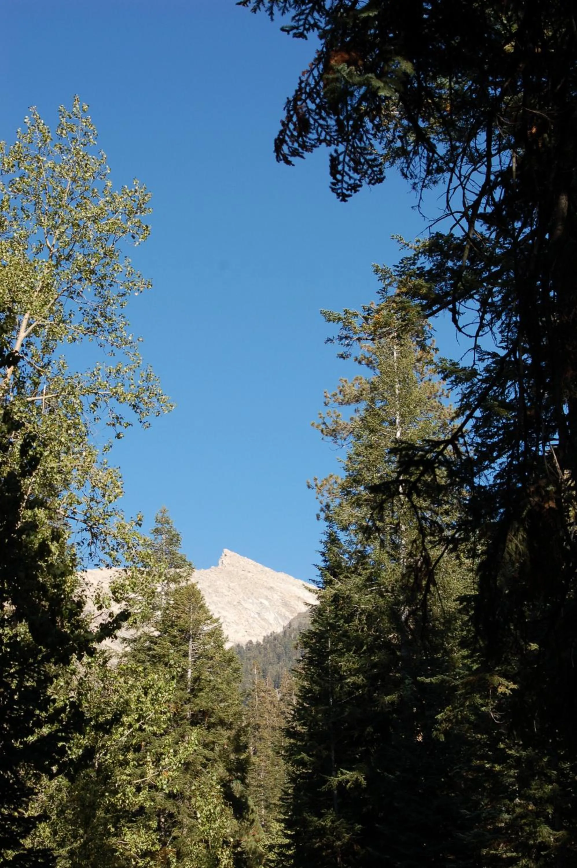 Mountain view in Silver City Mountain Resort