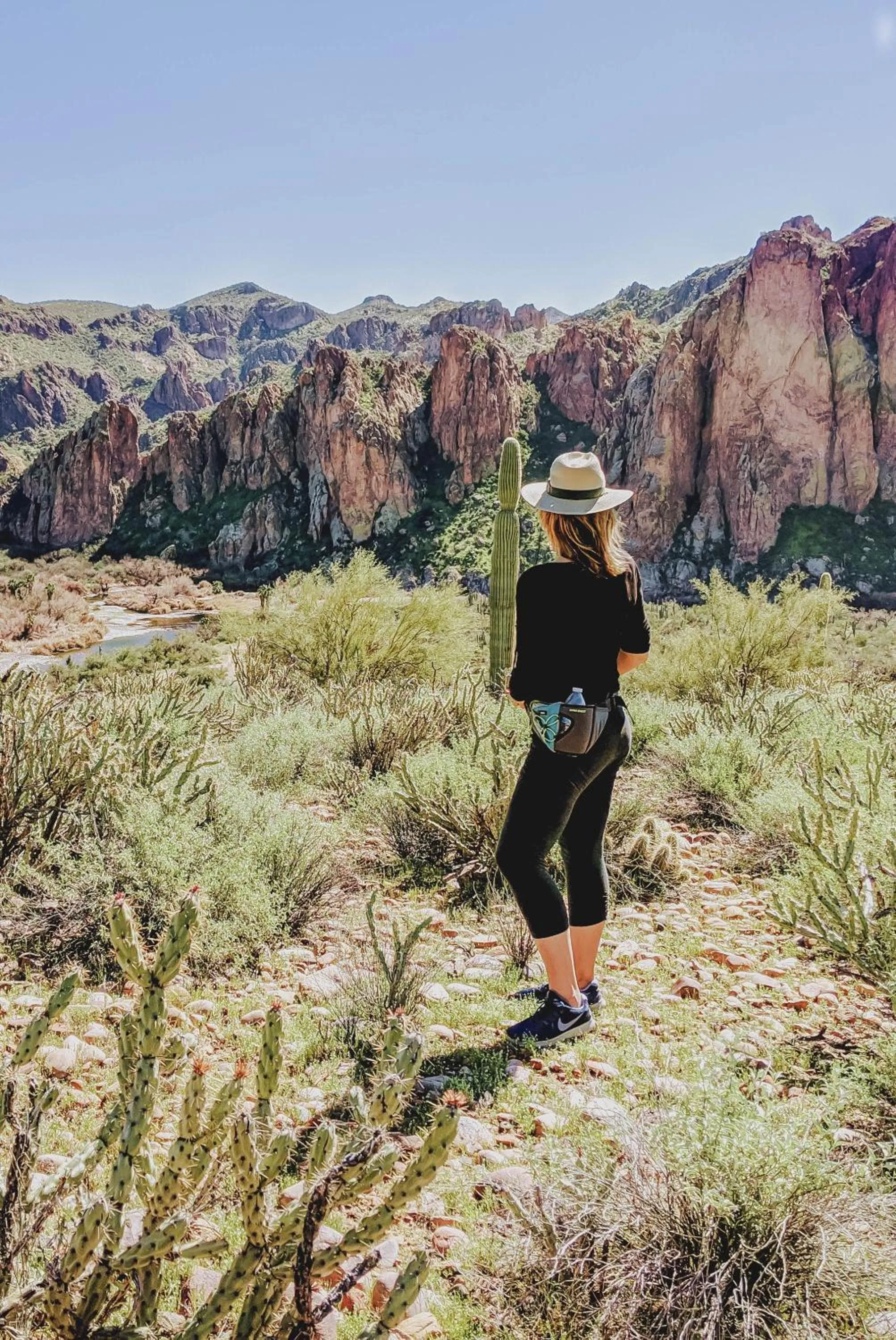 Natural landscape in Saguaro Lake Ranch