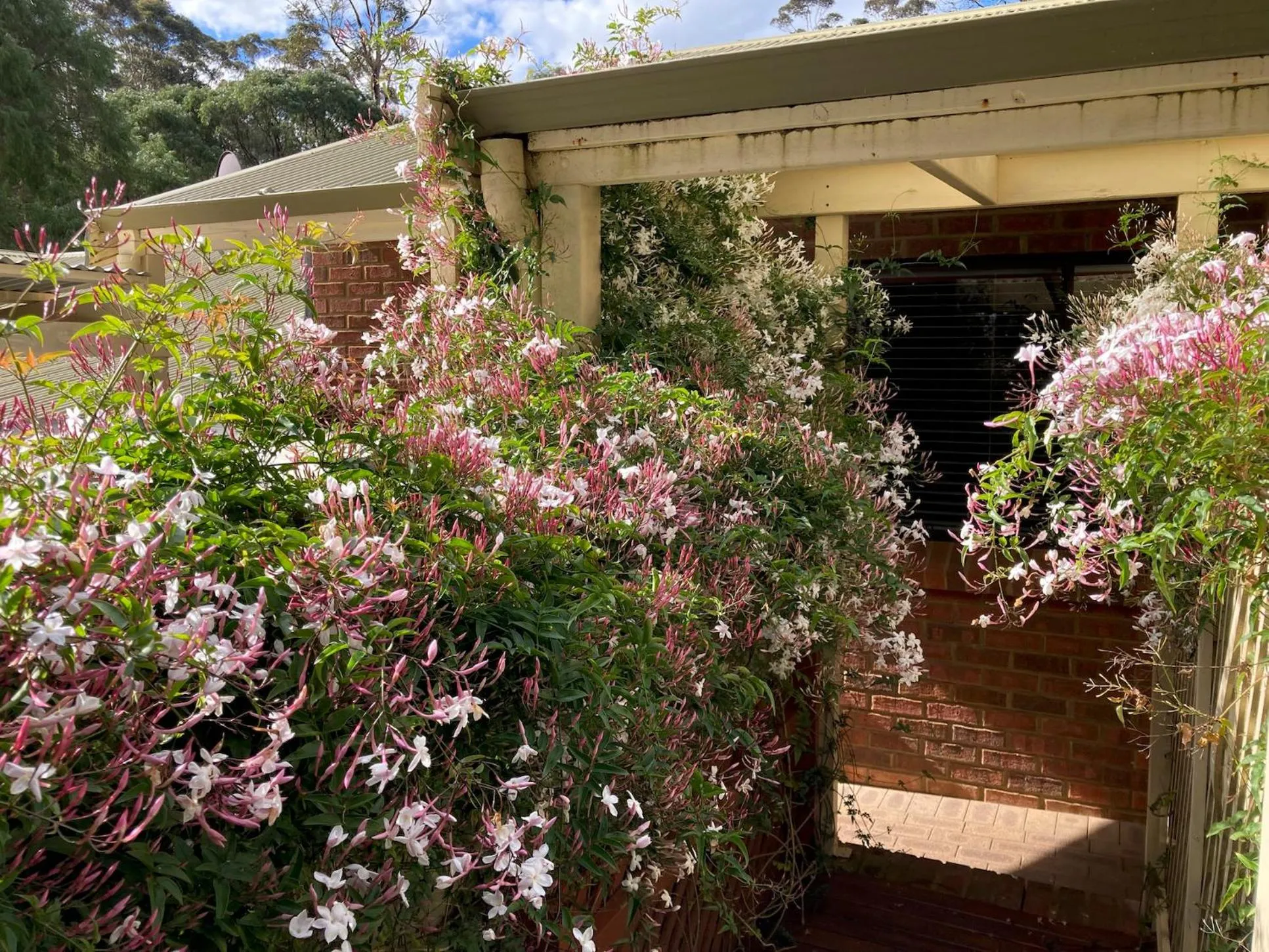 Garden in Edge Of The Forest Motel