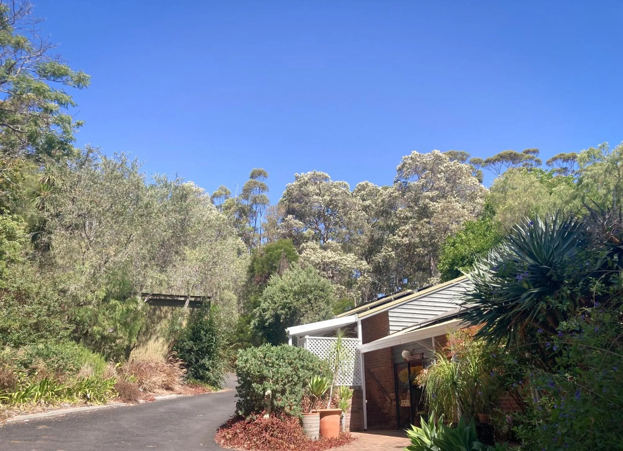 Property building in Edge Of The Forest Motel