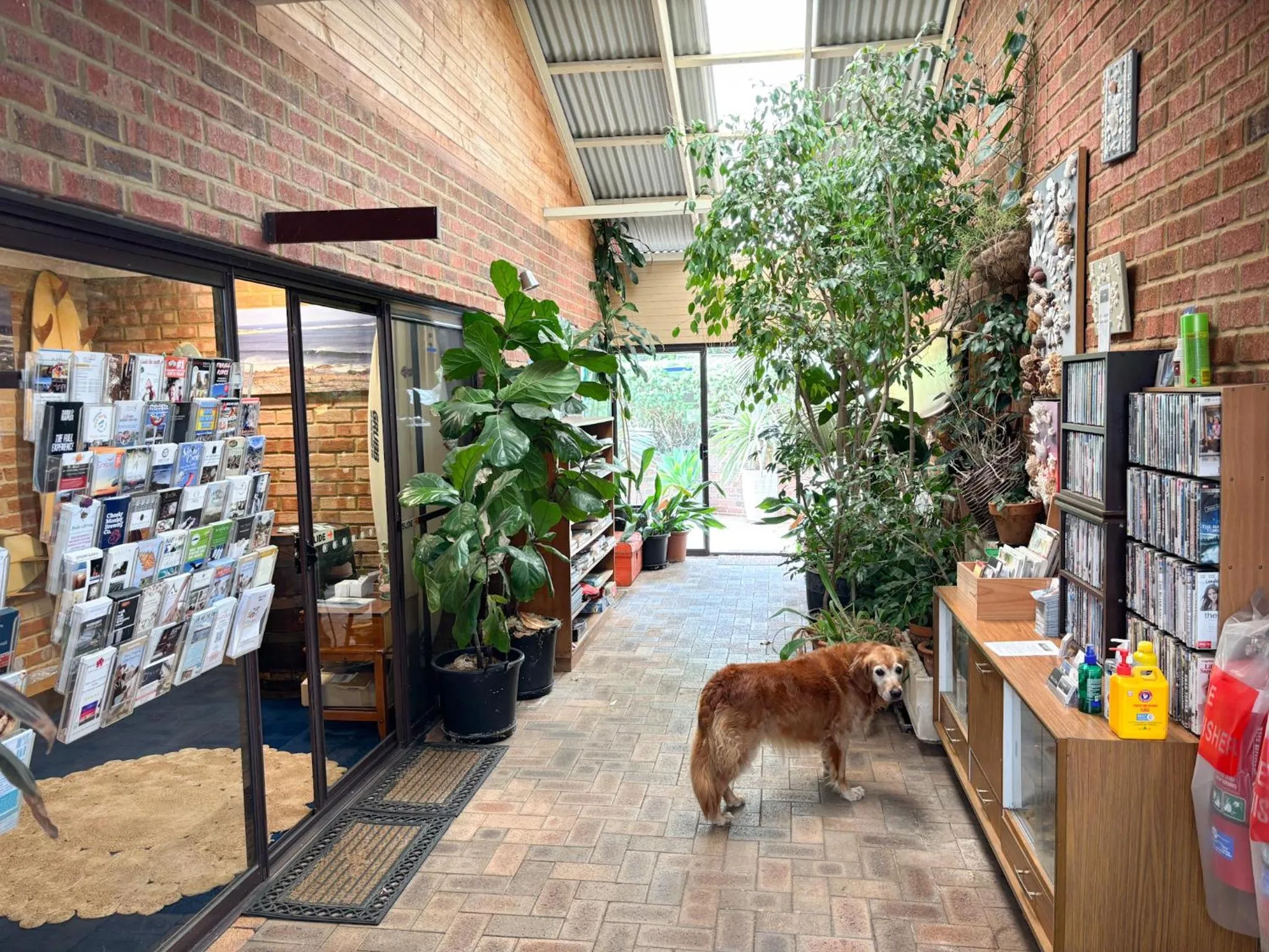 Lobby or reception in Edge Of The Forest Motel