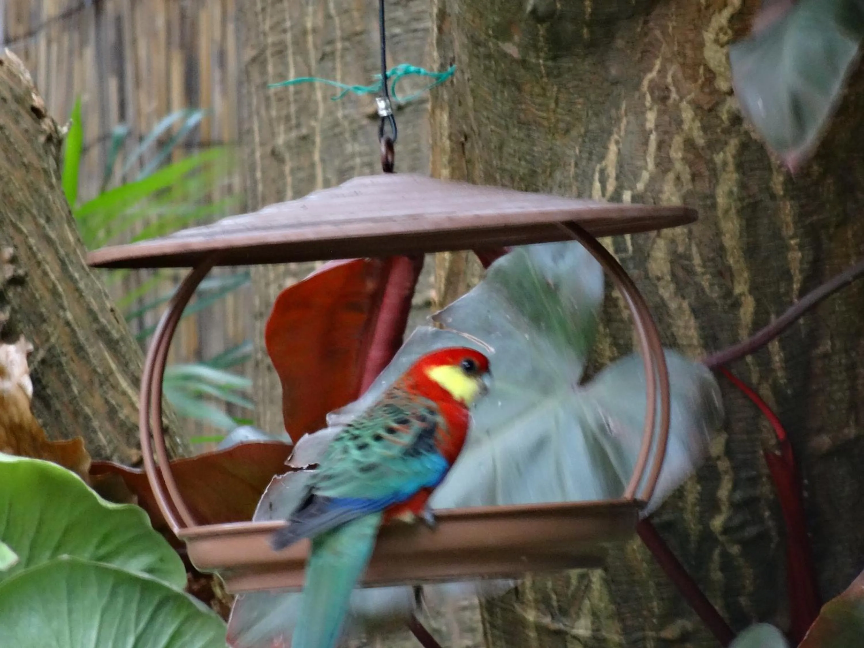 Garden in Edge Of The Forest Motel