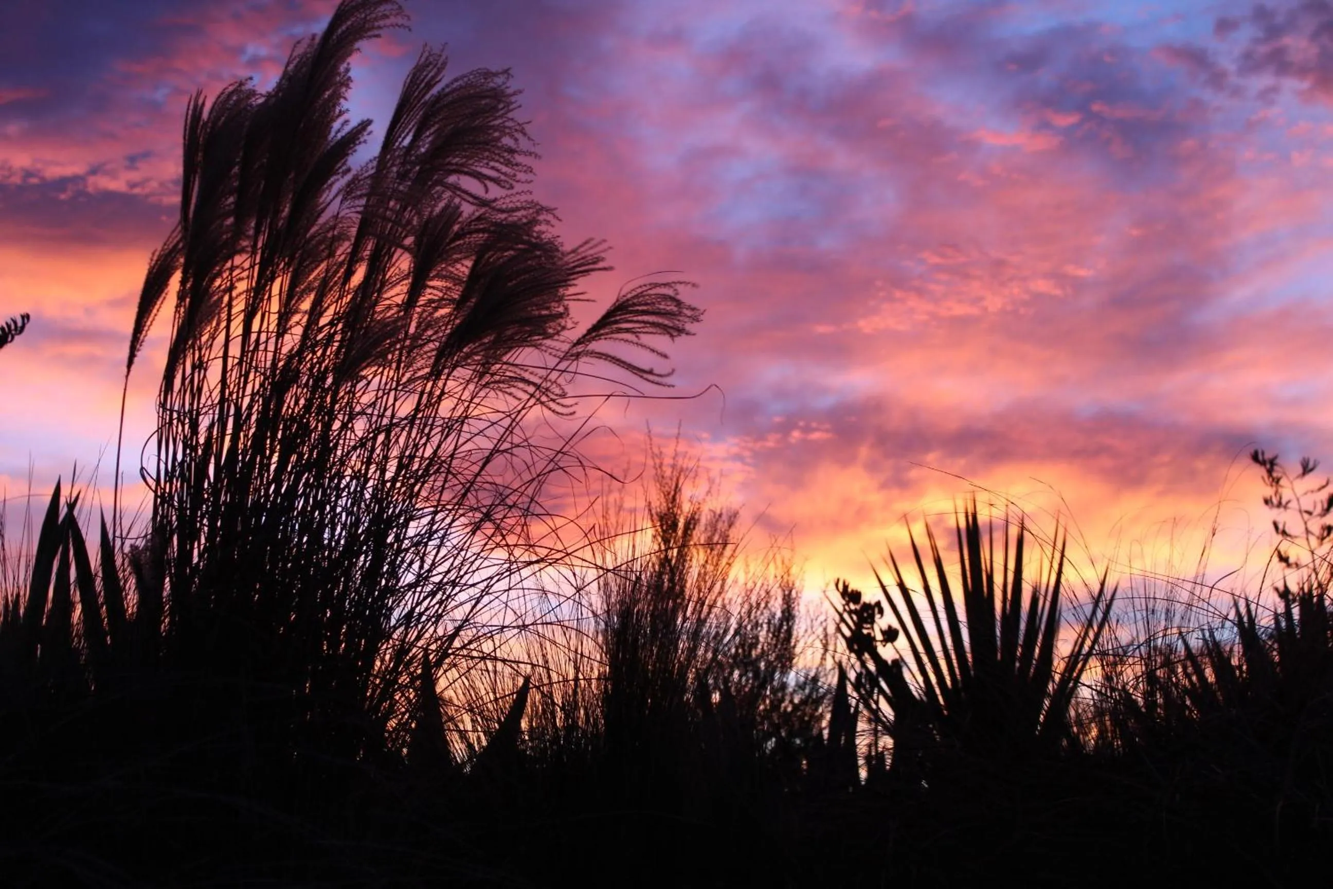 Area and facilities in The Summit Lodge