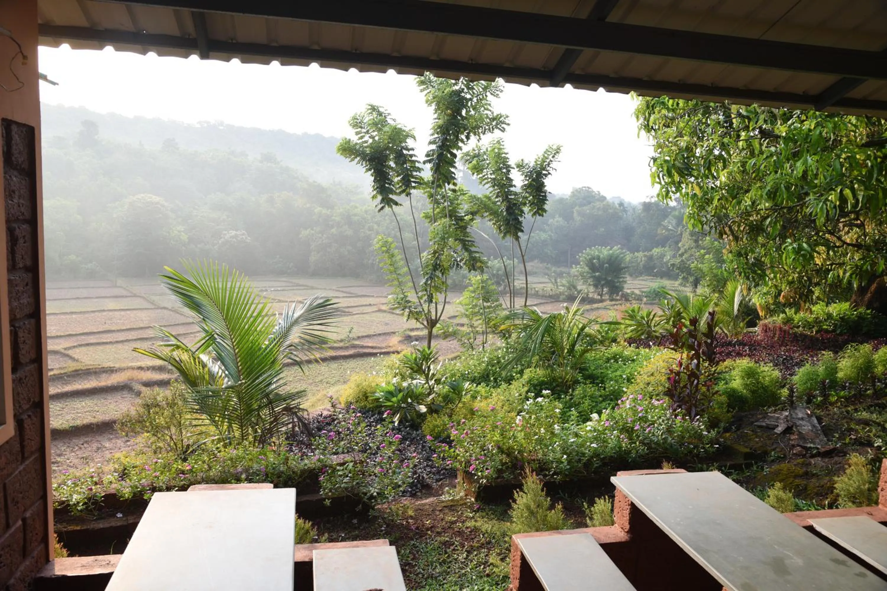 Restaurant/places to eat in Shree Ramkrishna Anandvan