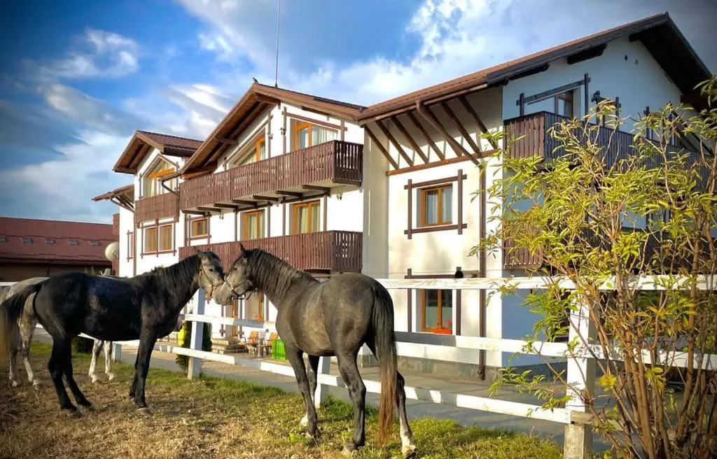 Animals in Complex Panicel