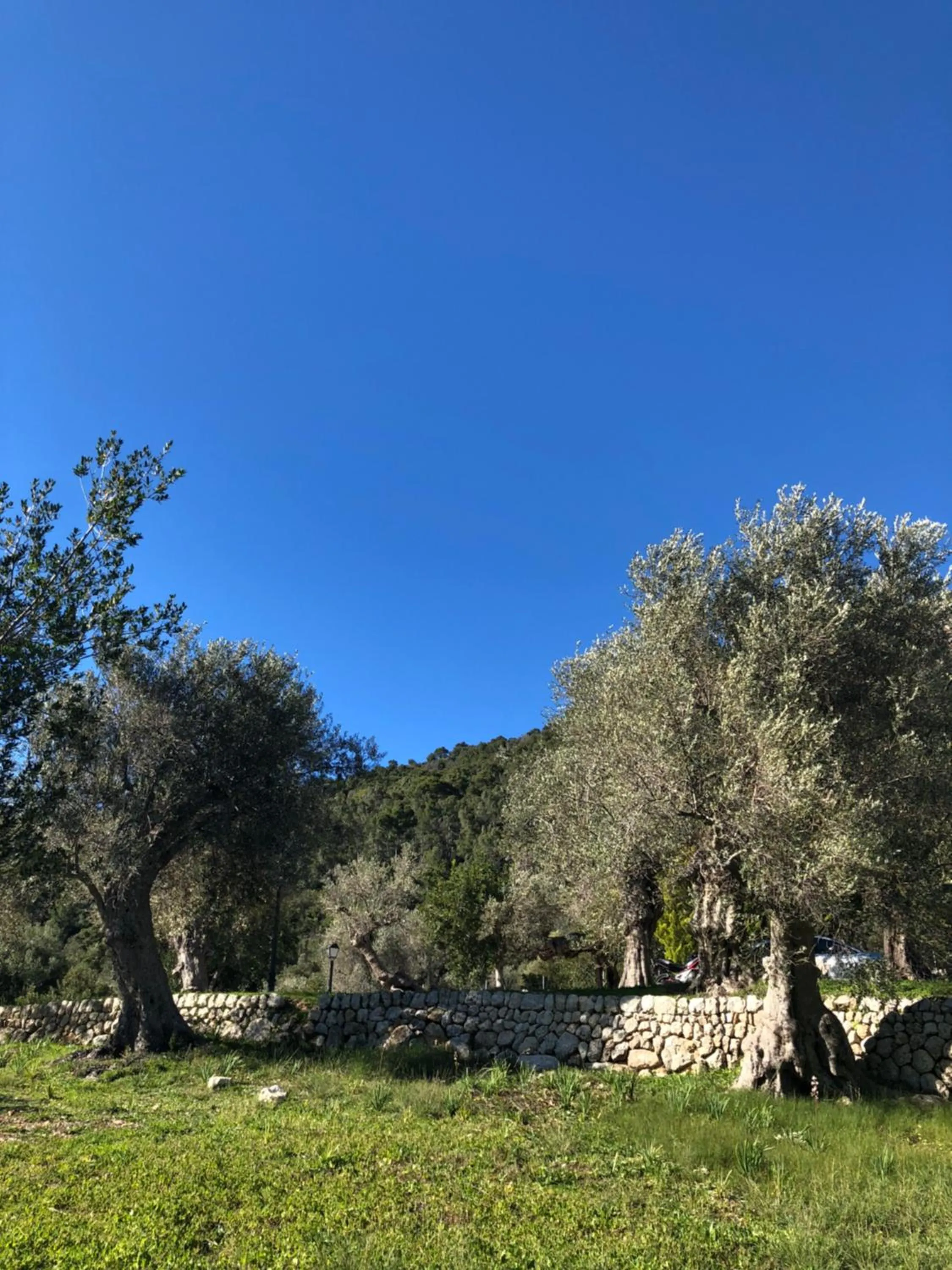 Natural landscape in Senda Caimari