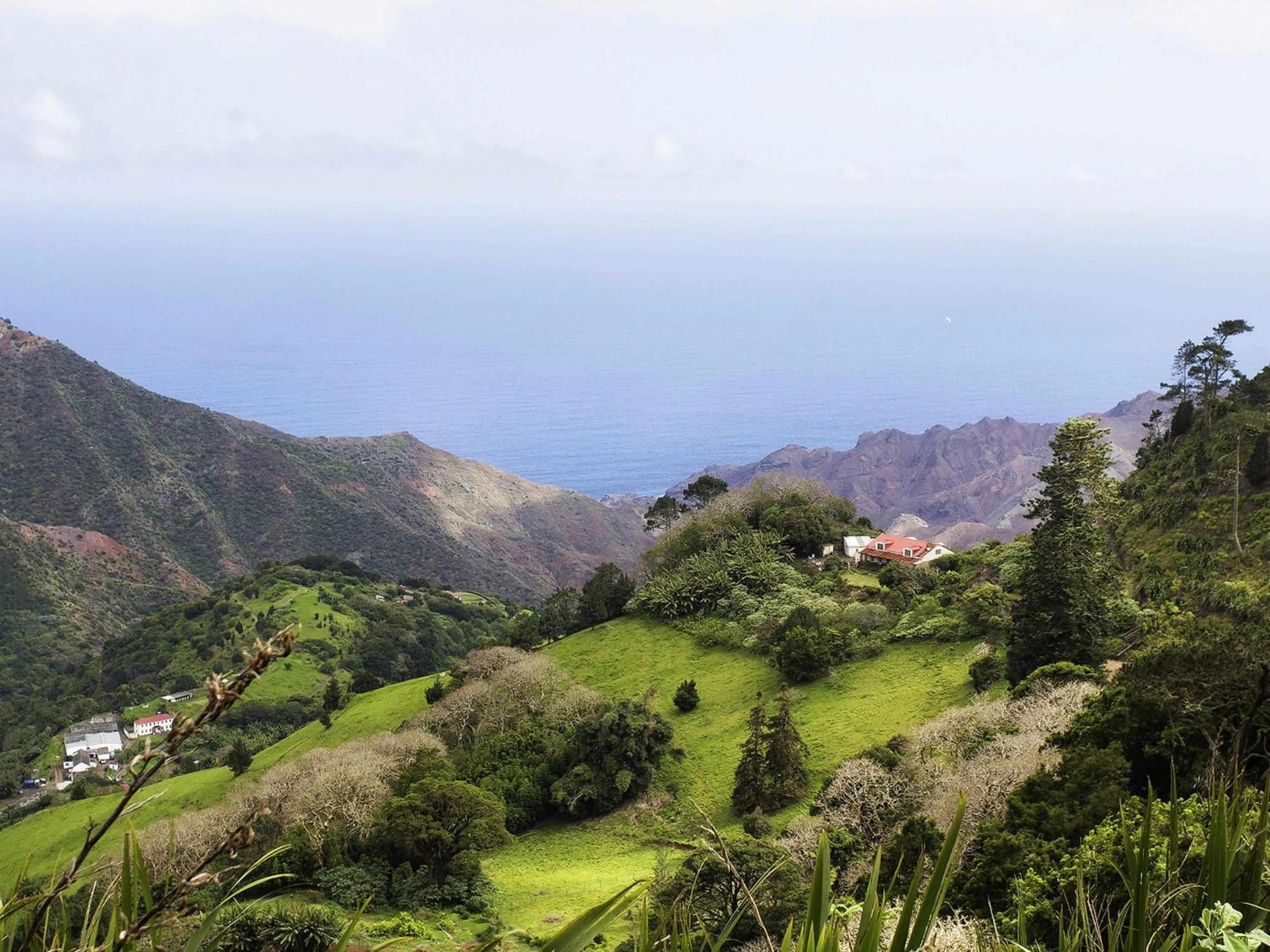 Other in Mantis St Helena