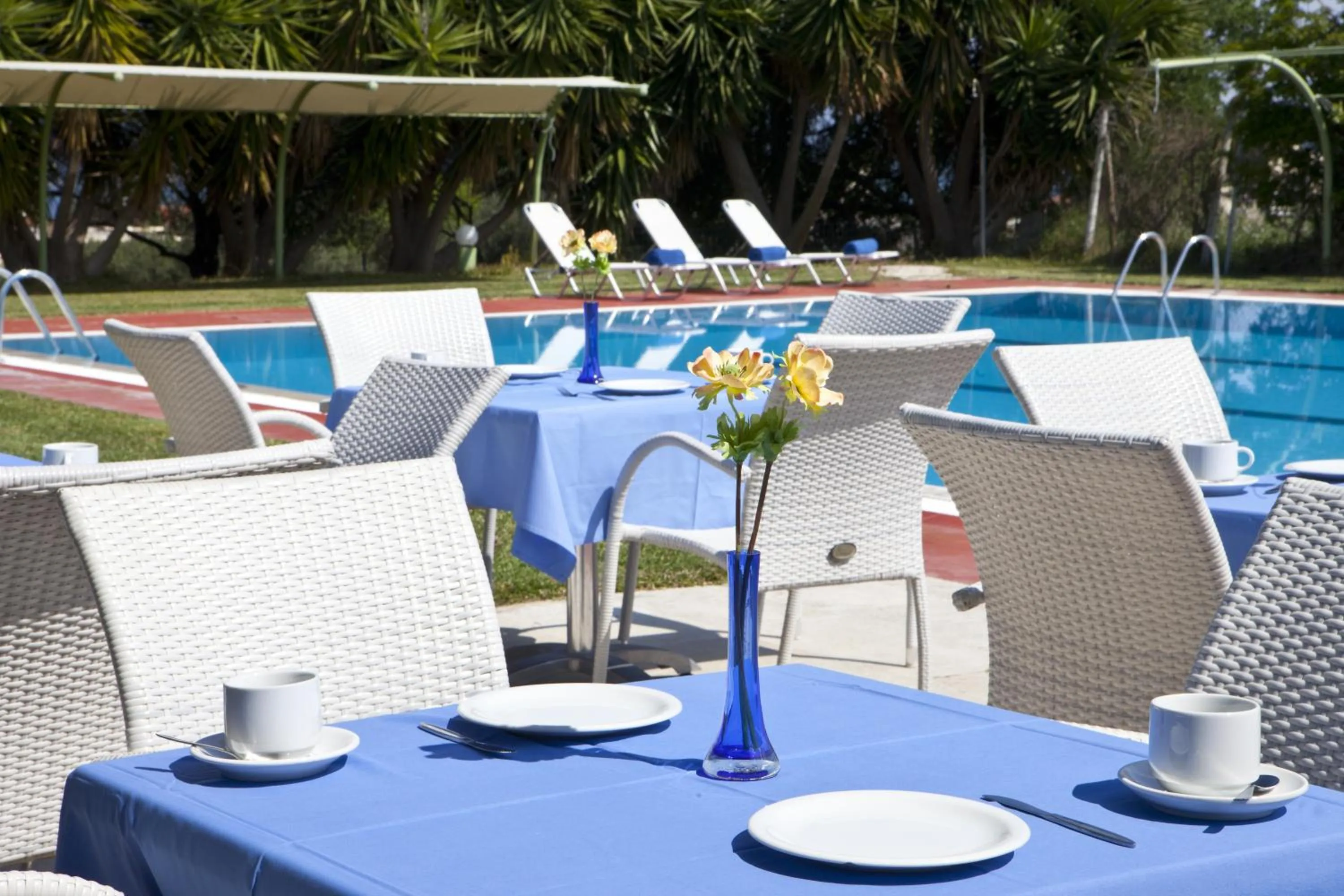 Lounge or bar in Palatino Hotel