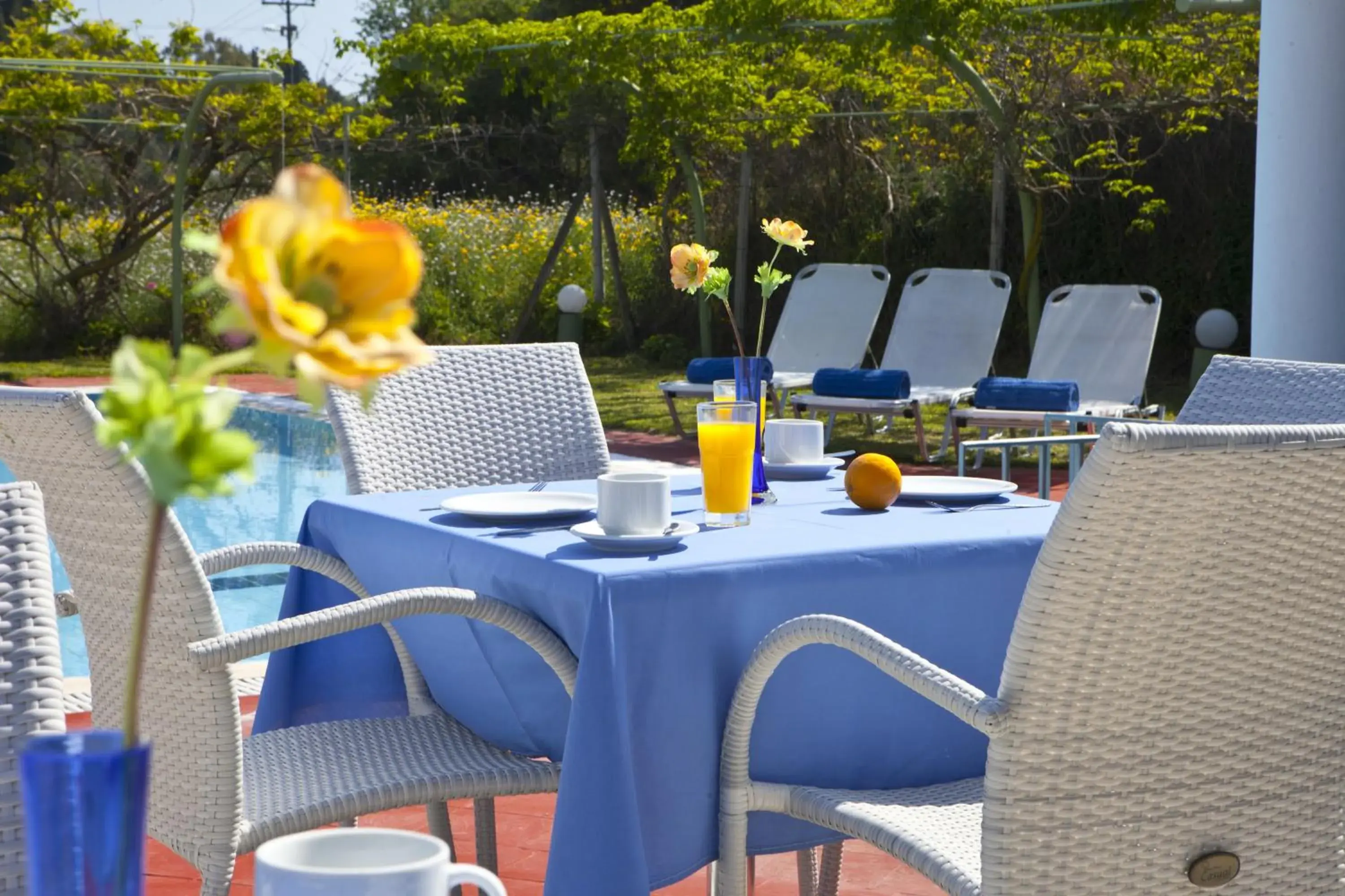 Lounge or bar in Palatino Hotel Lounge or bar in Palatino Hotel