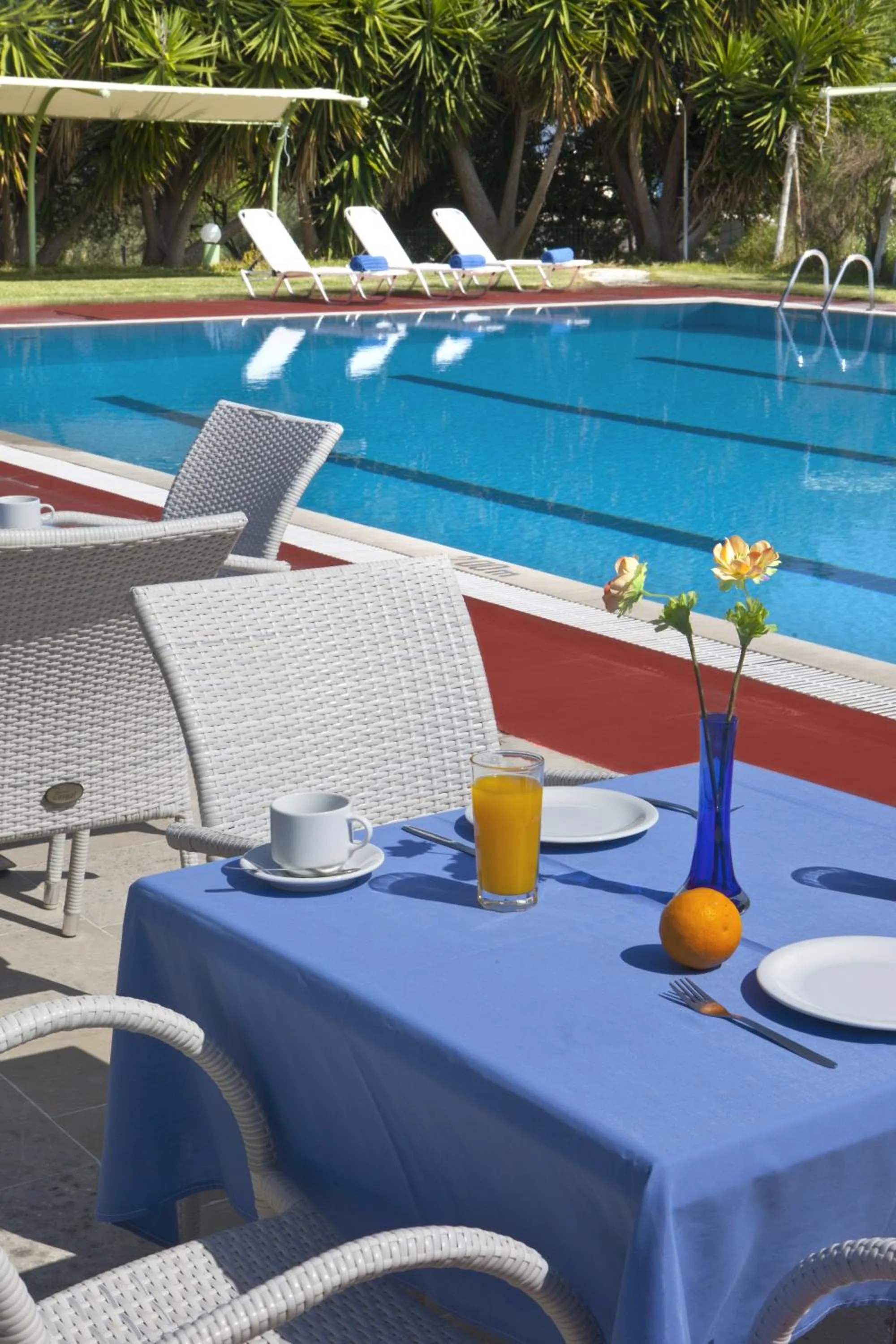 Swimming pool in Palatino Hotel