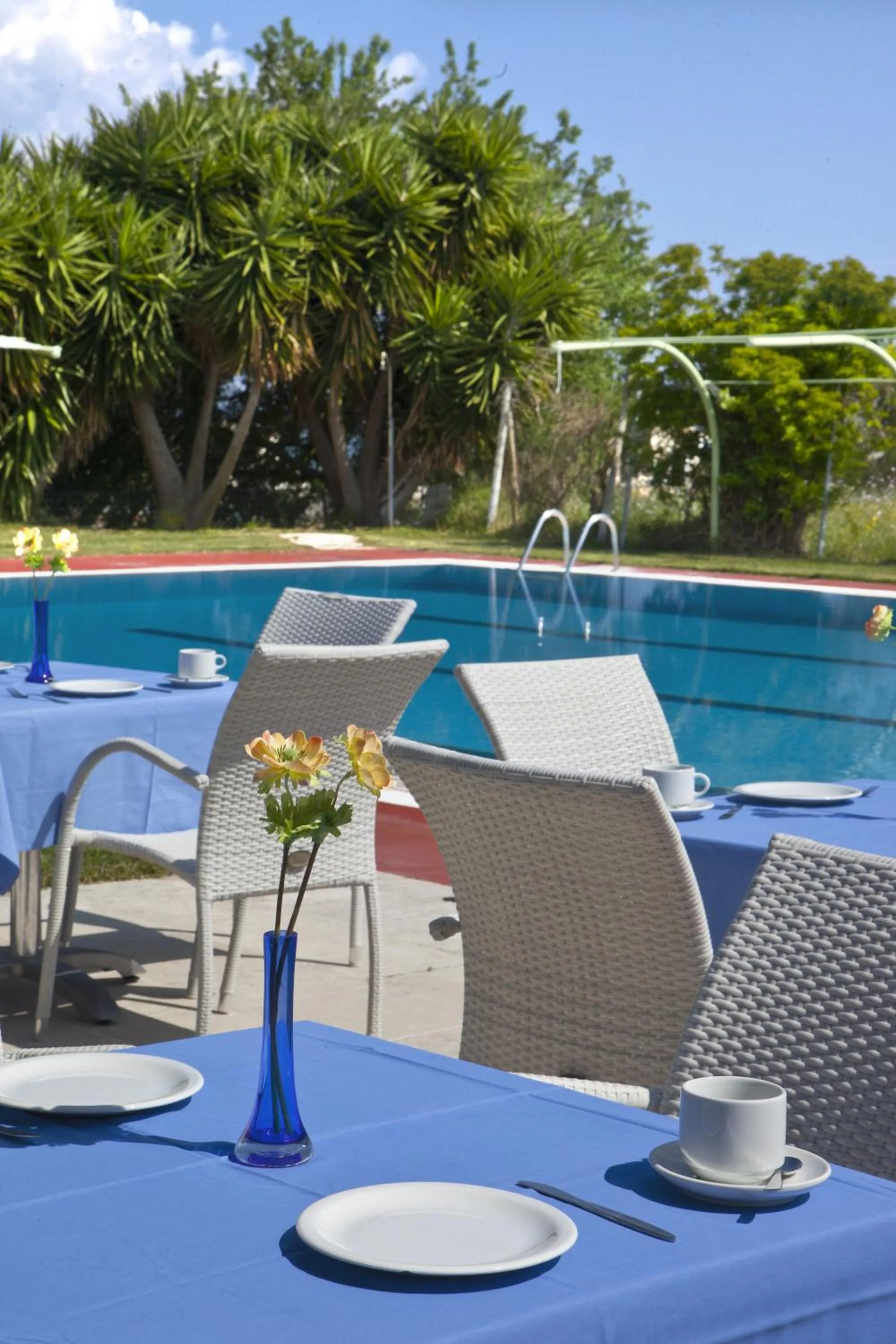 Swimming pool in Palatino Hotel