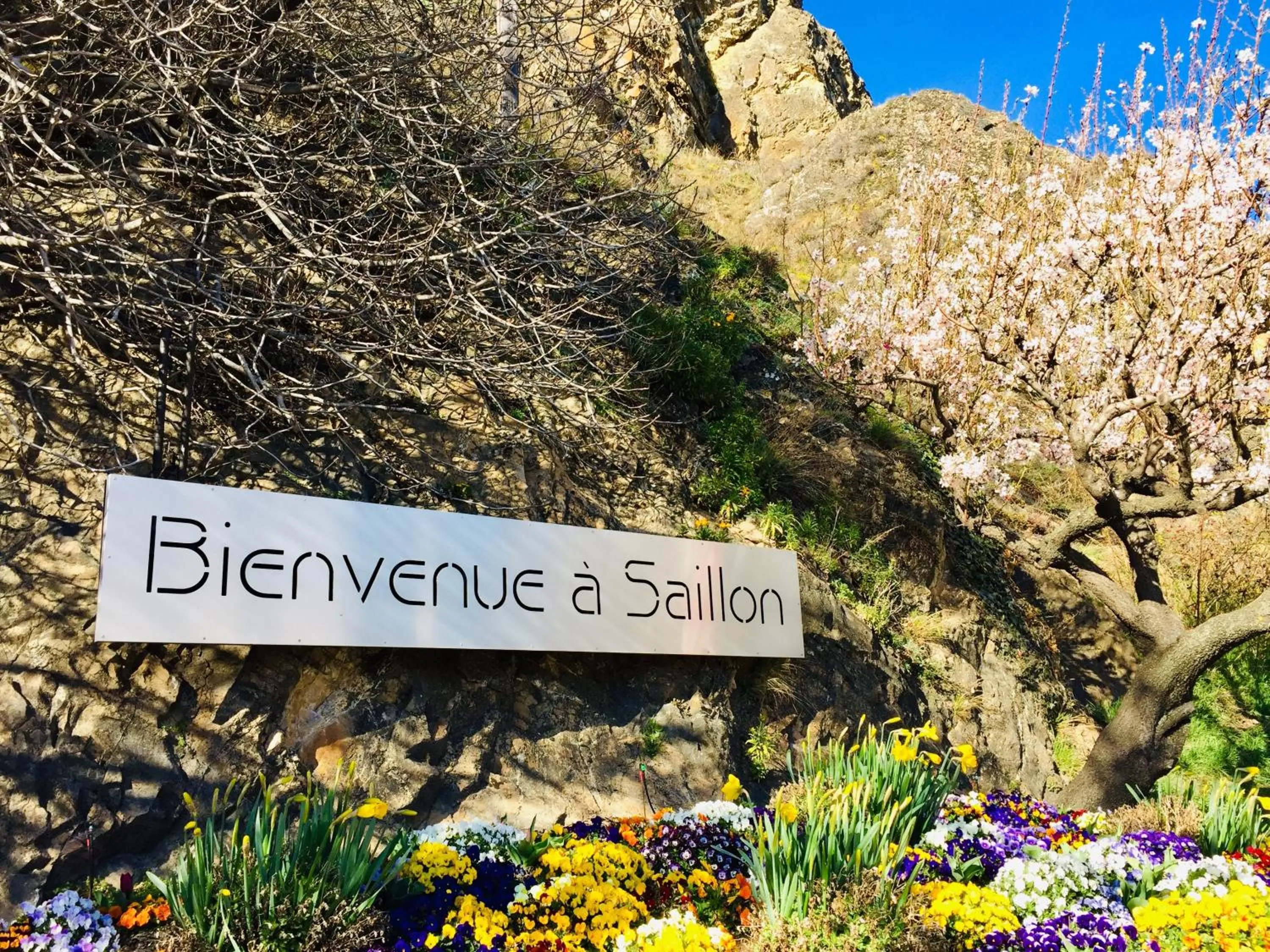 Saillon Evasion Sarl