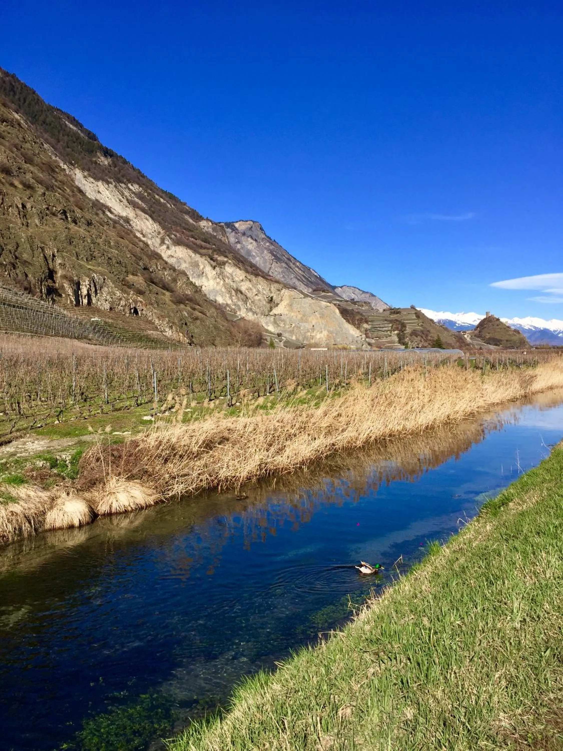 Spring in Saillon Evasion Sarl