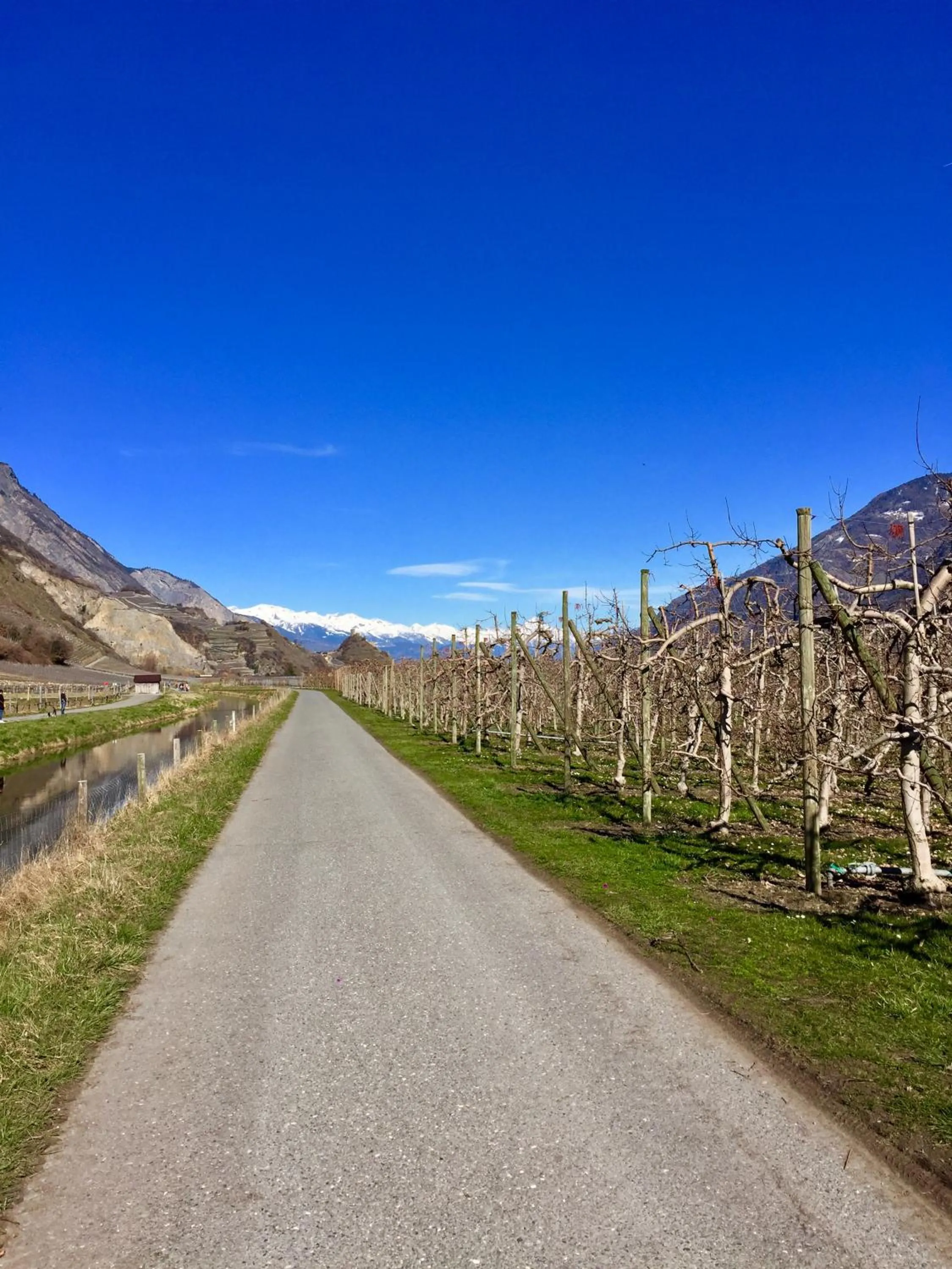 Spring in Saillon Evasion Sarl