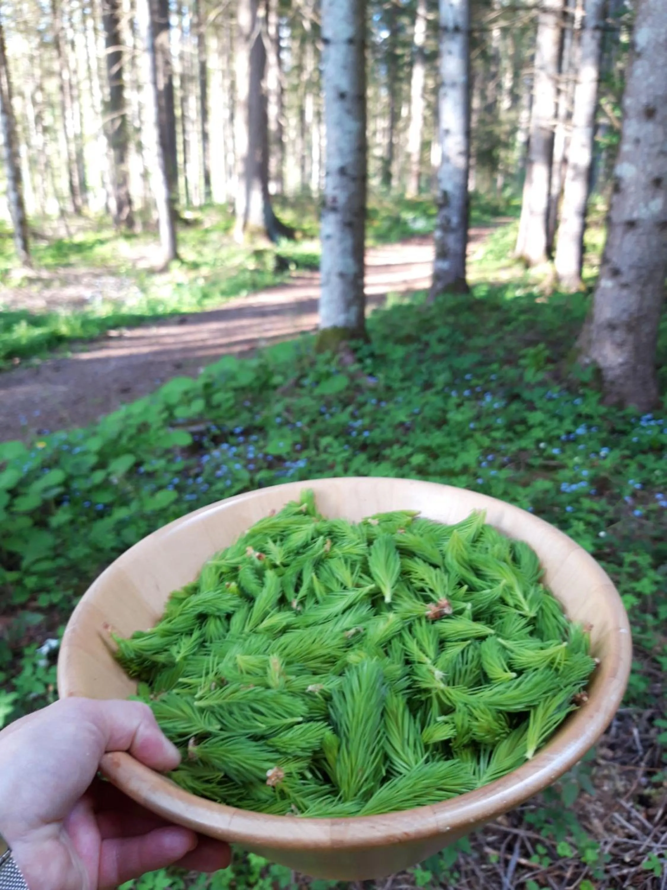 Spa and wellness centre/facilities in Landhotel Häuserl im Wald