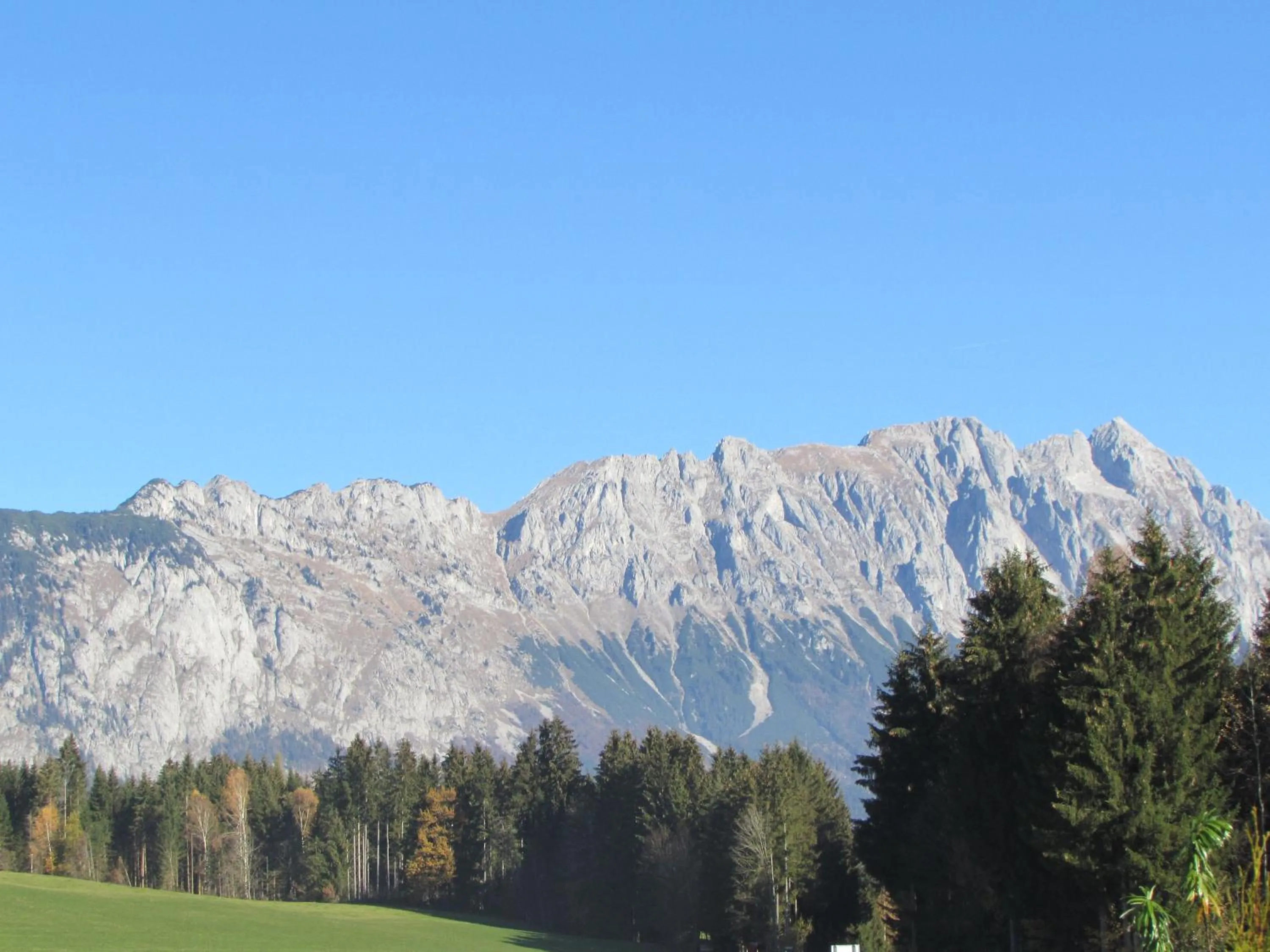 Natural landscape in Landhotel Häuserl im Wald