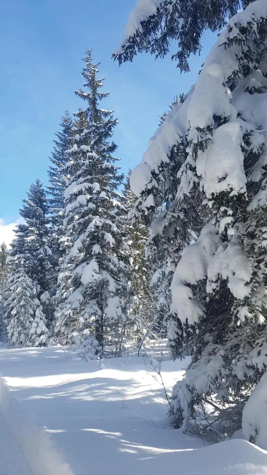 Winter in Landhotel Häuserl im Wald