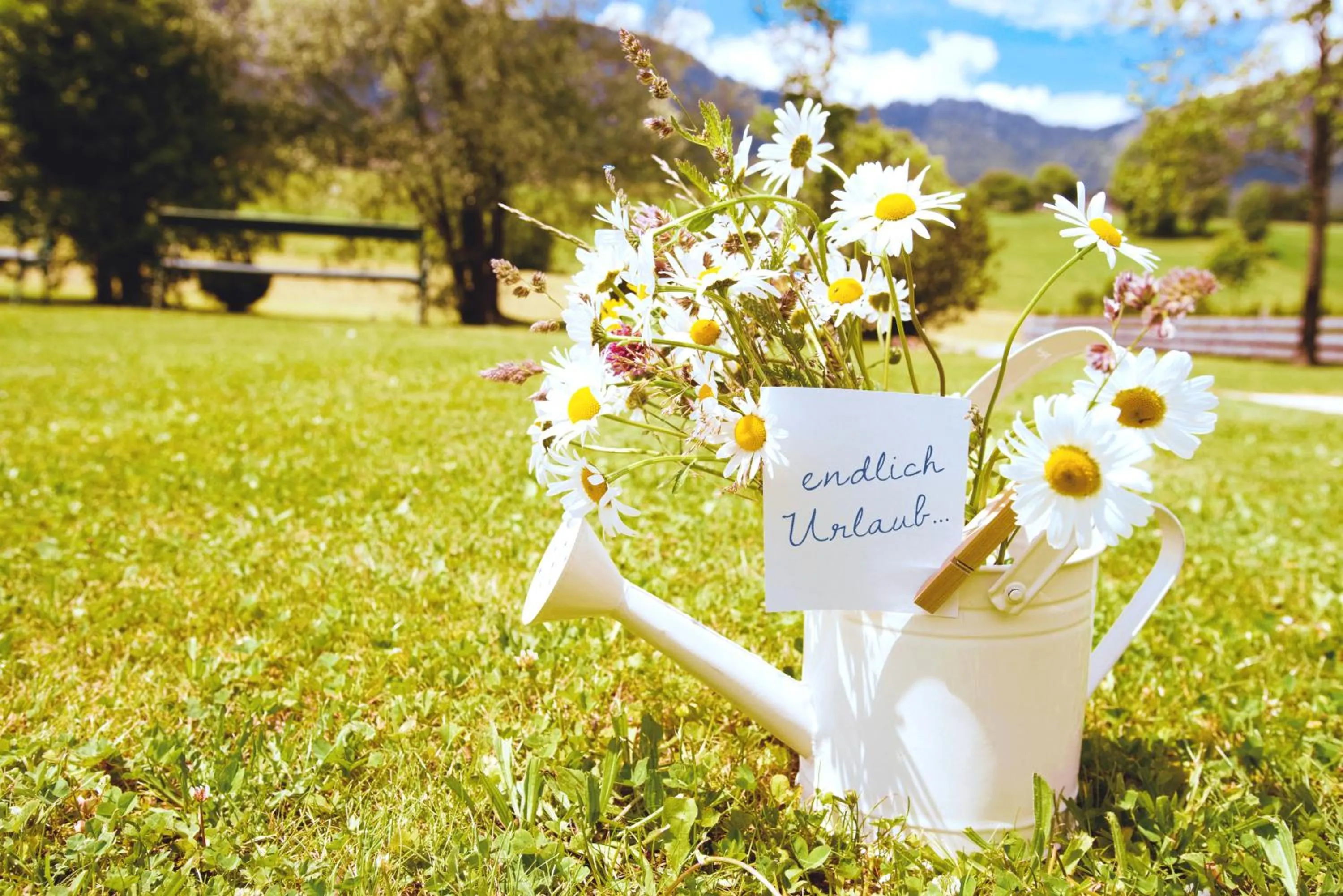 Summer in Landhotel Häuserl im Wald