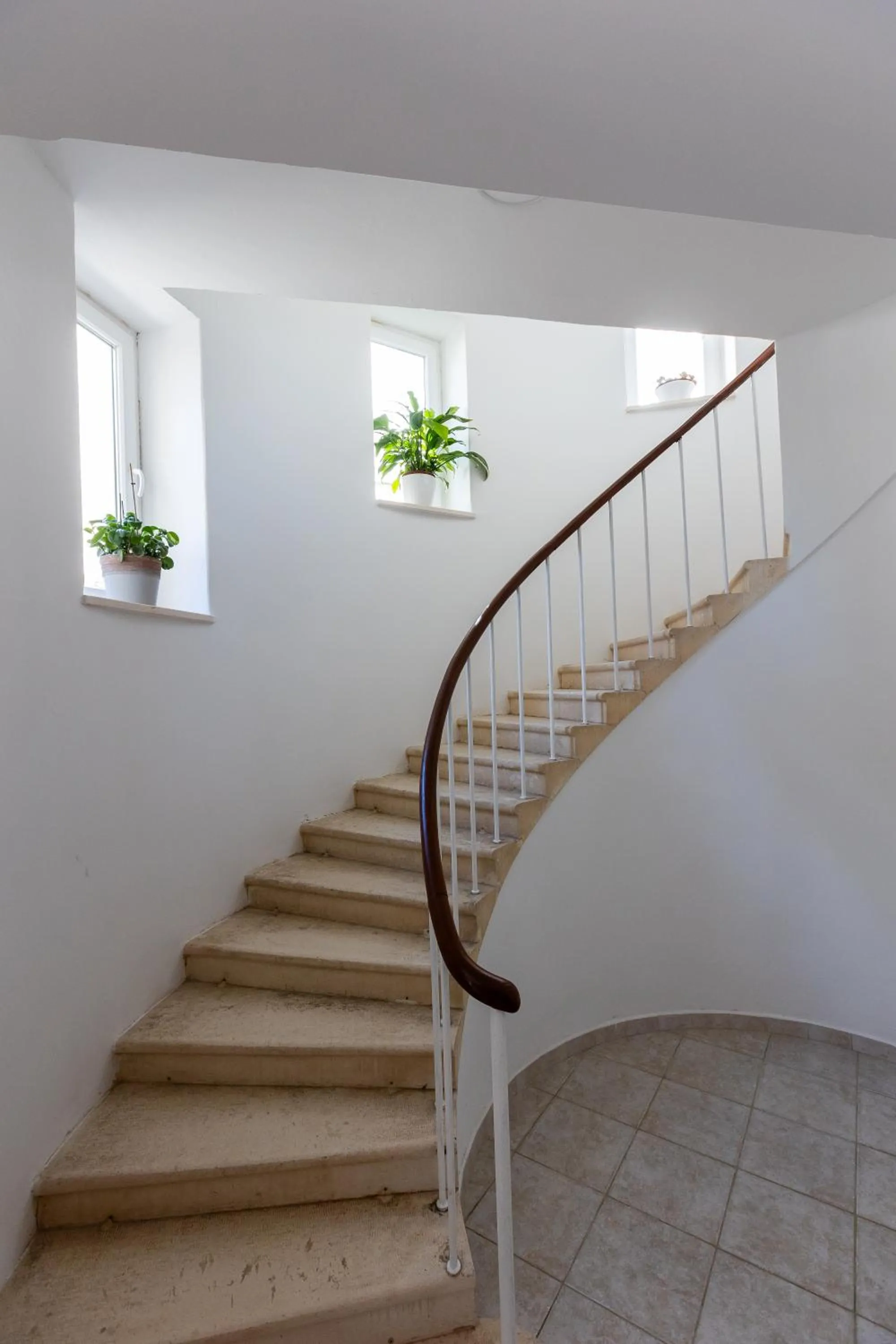 Property building in Apartment Flora