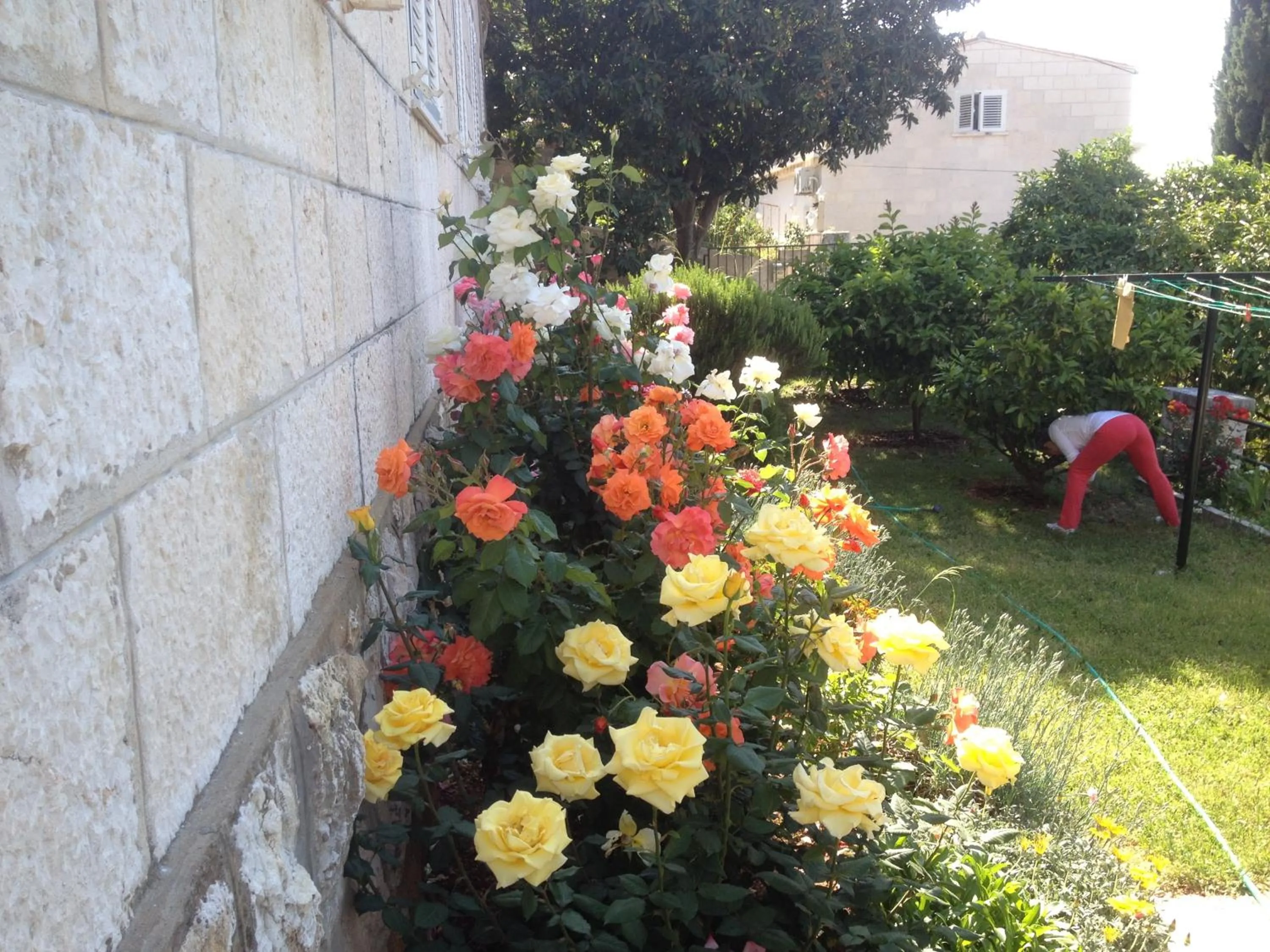 Garden view in Apartment Flora