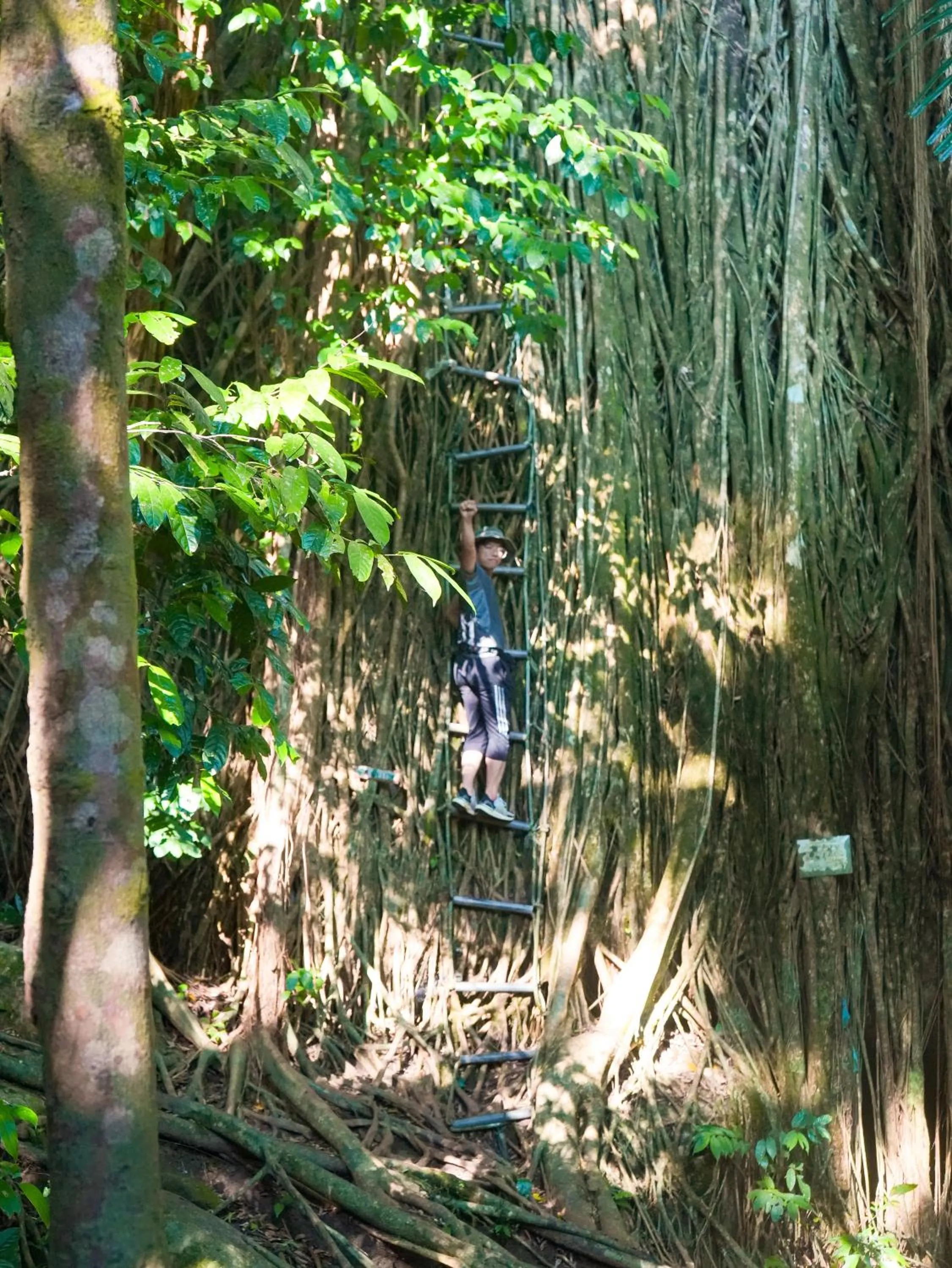 Hiking in Impian Inn