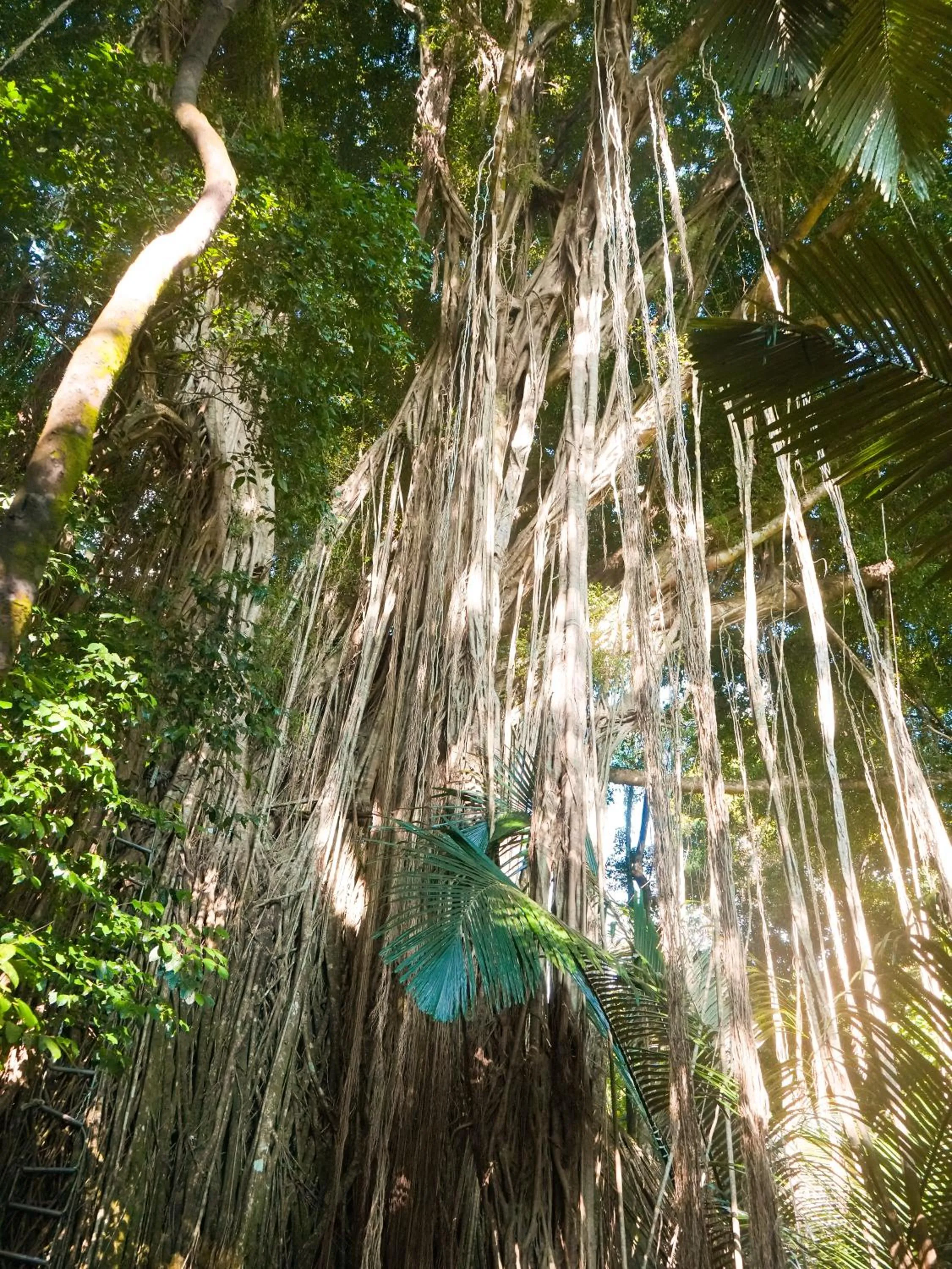 Hiking in Impian Inn