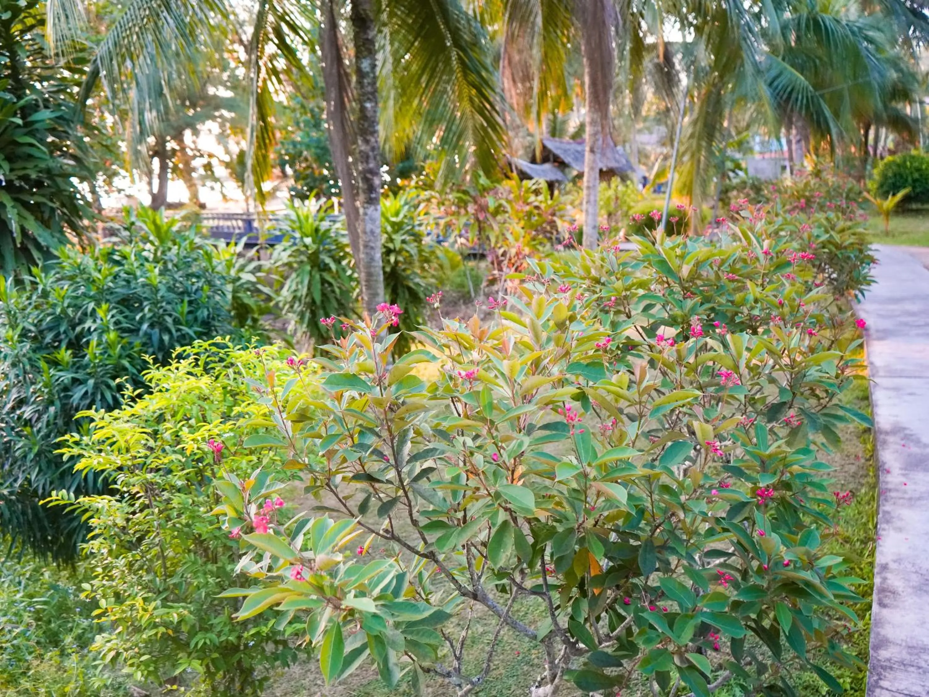 Garden in Impian Inn