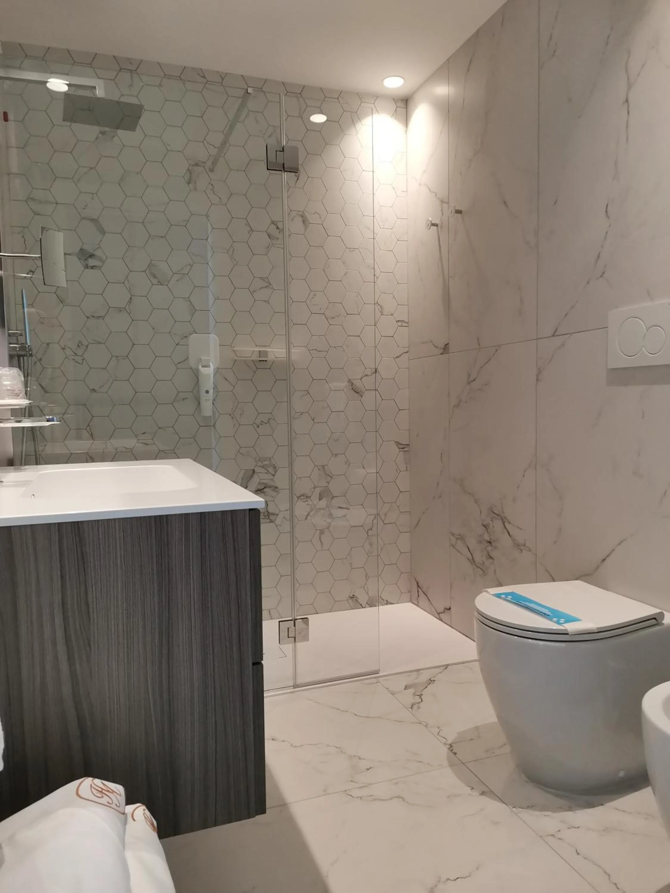 Toilet in Hotel Astoria