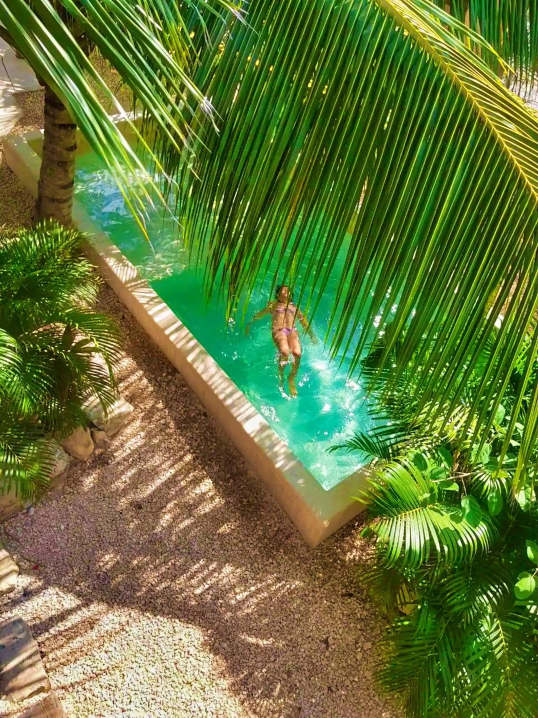 Garden in La Casa de Mia Tulum