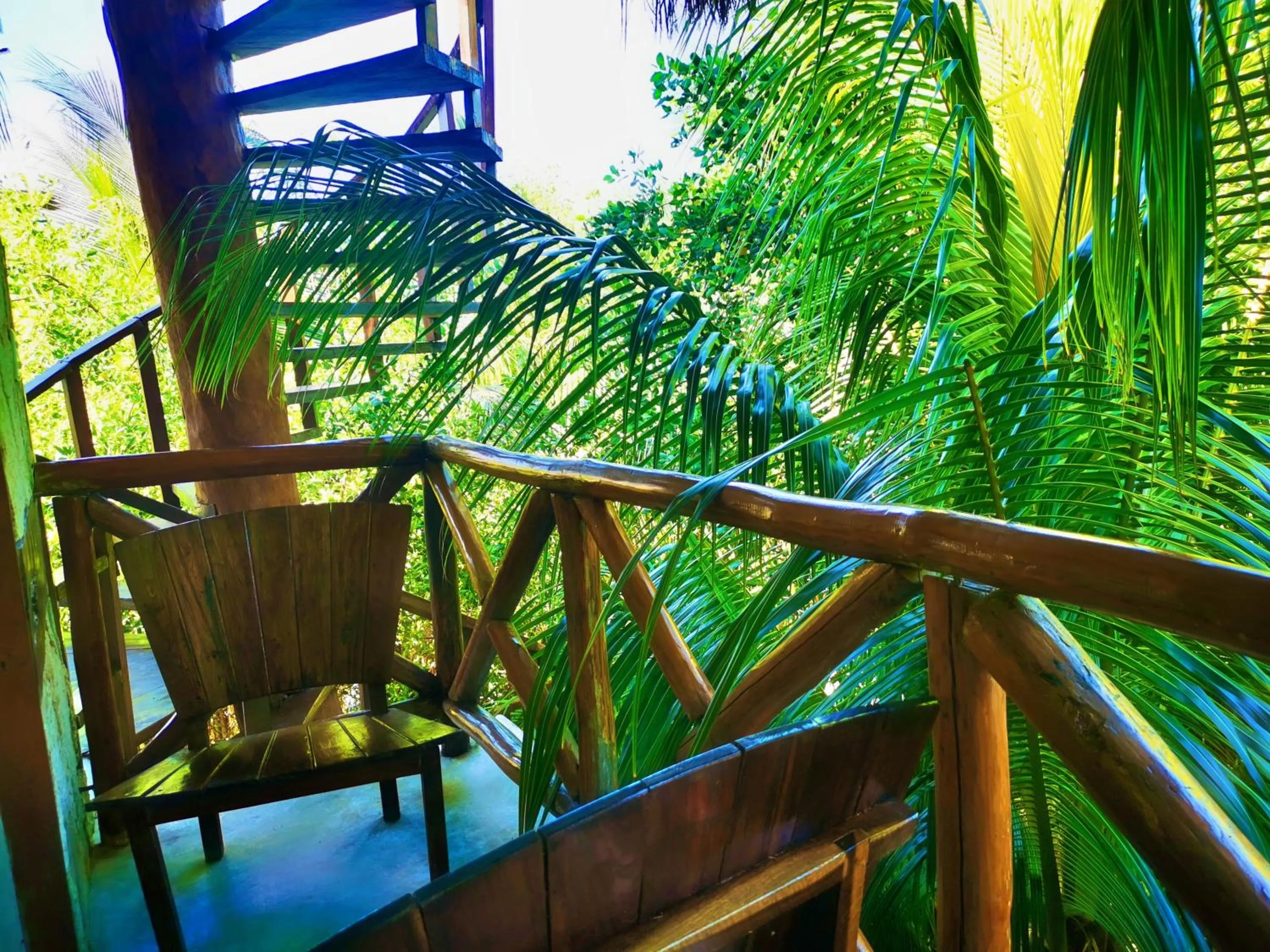 Balcony/Terrace in La Casa de Mia Tulum