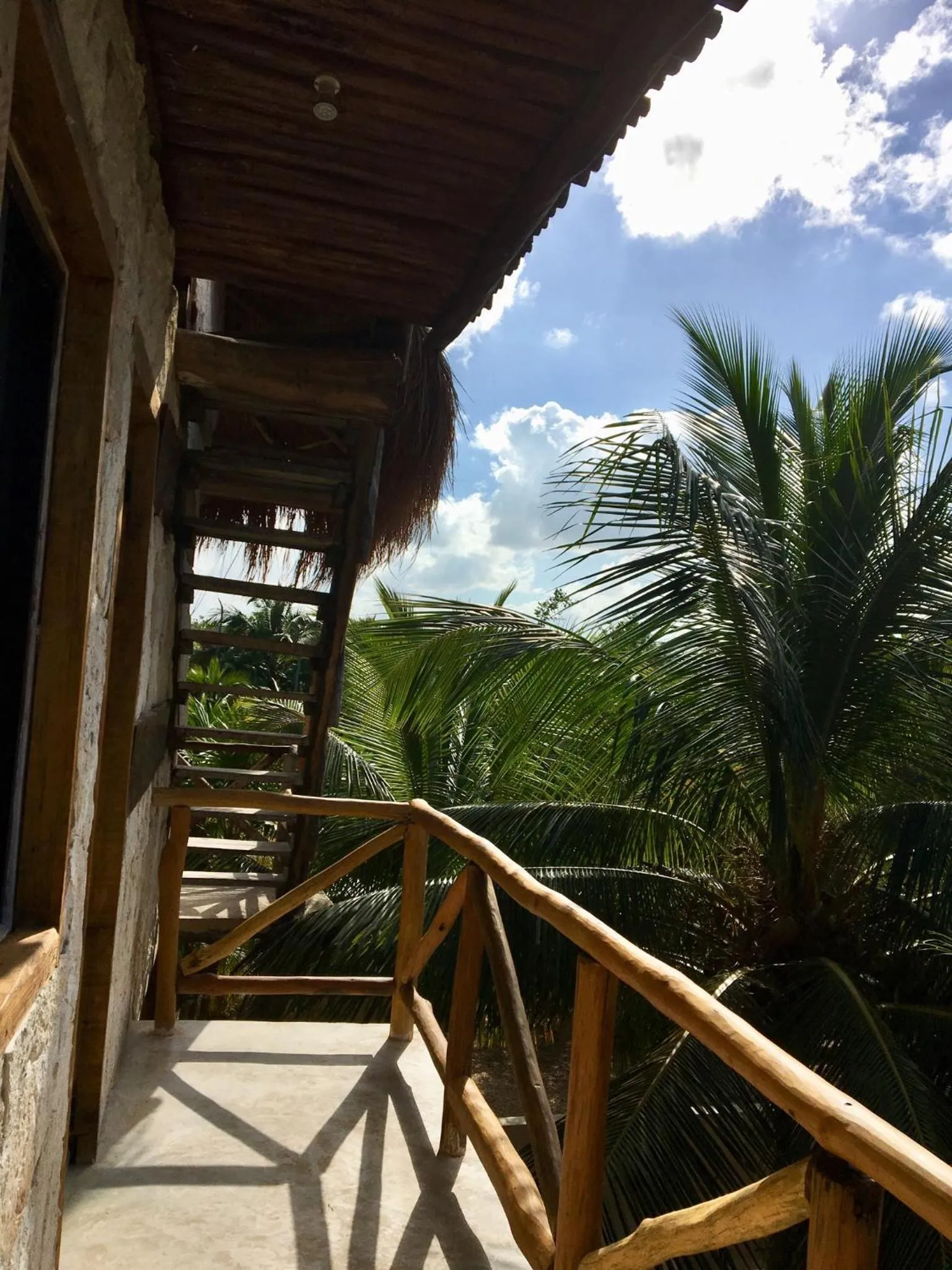 Natural landscape in La Casa de Mia Tulum