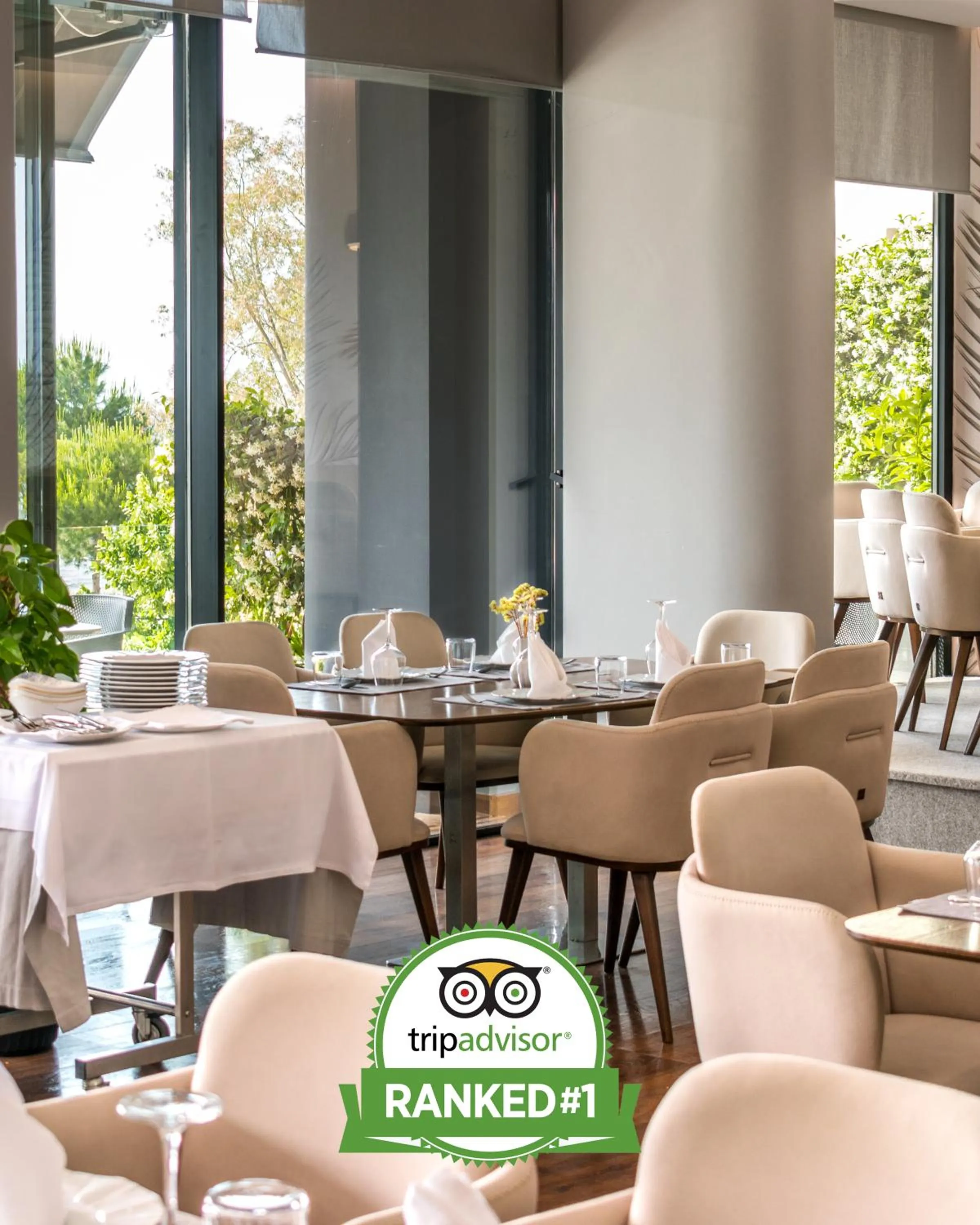 Restaurant/places to eat in Yacht Hotel