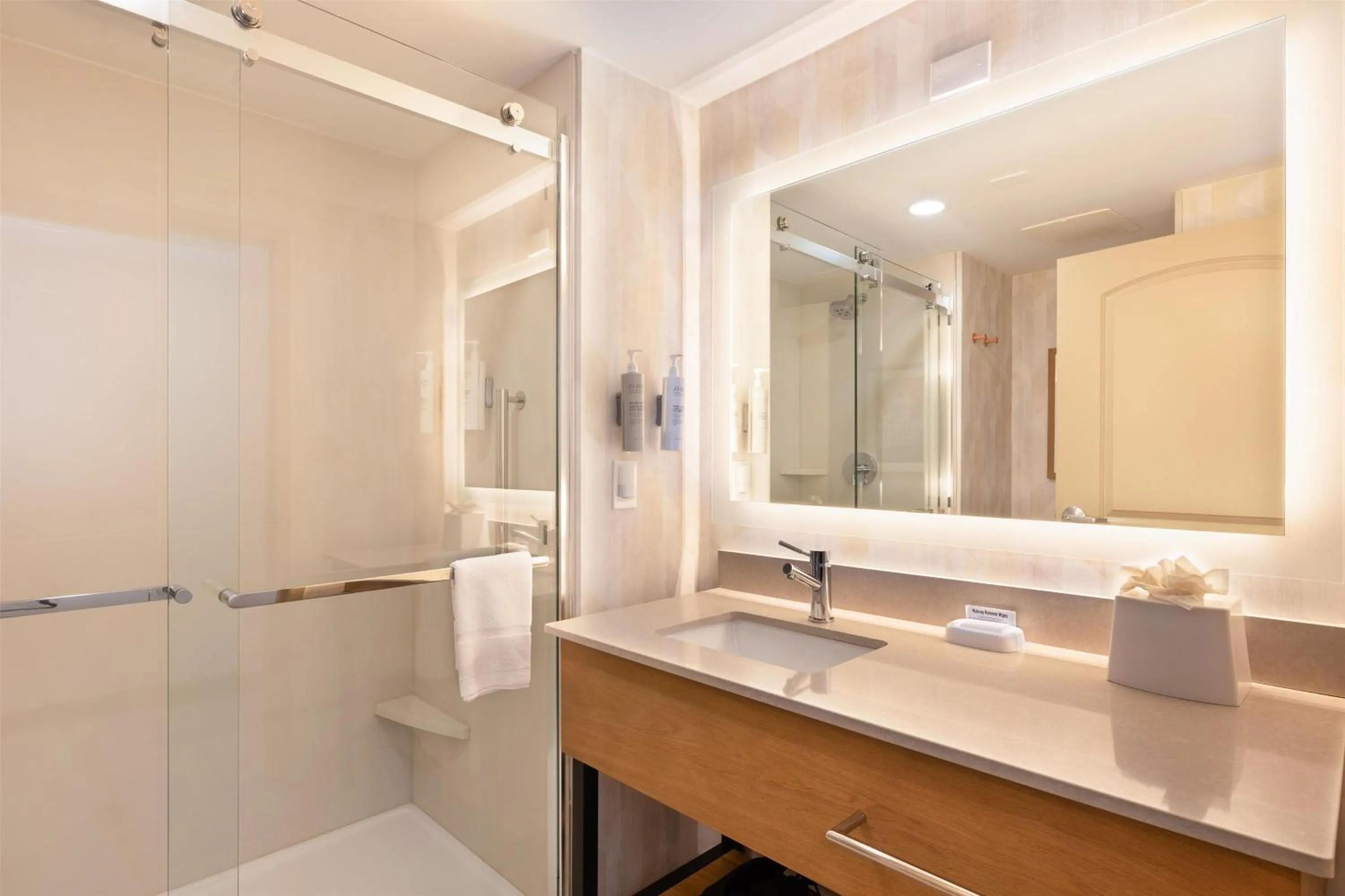 Bathroom in Hampton Inn Lawrenceville Duluth