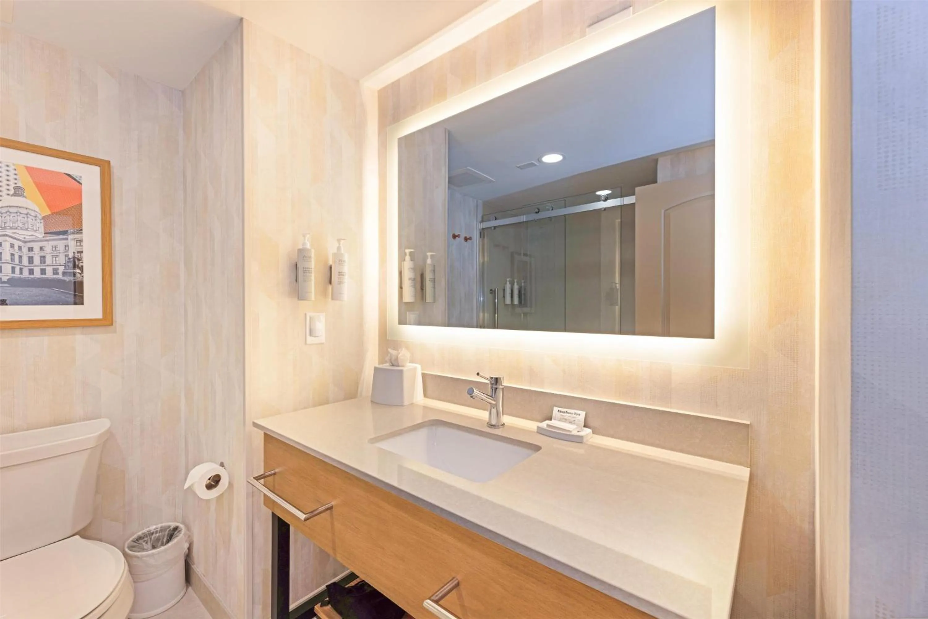 Bathroom in Hampton Inn Lawrenceville Duluth