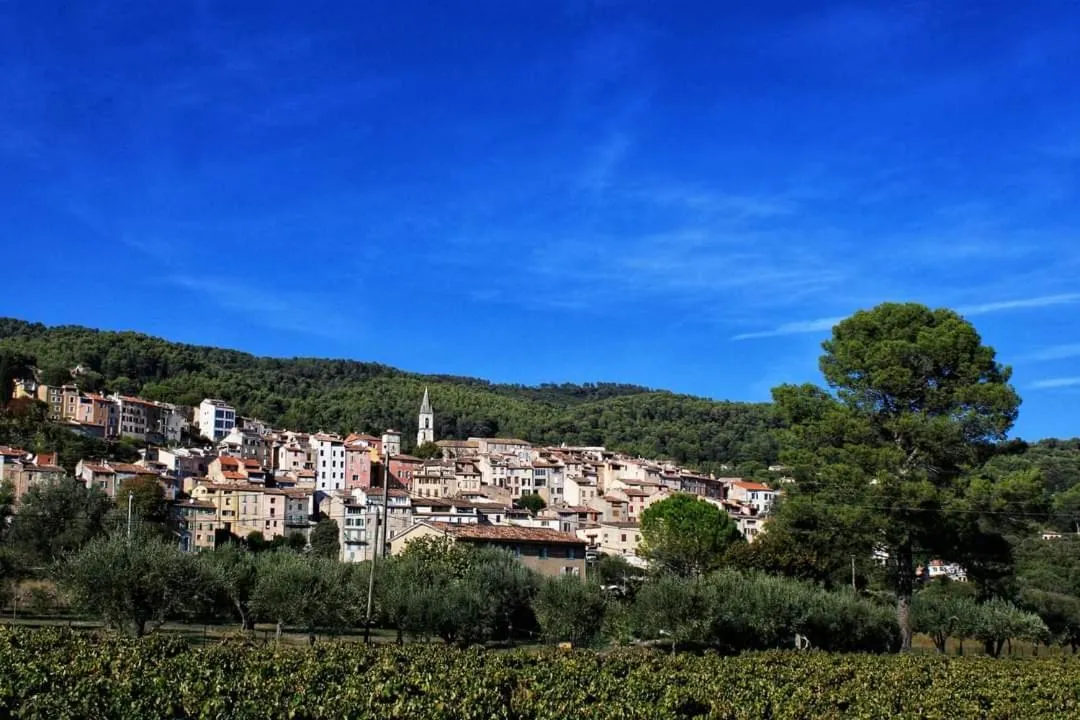 Le Petit Coin de Paradis