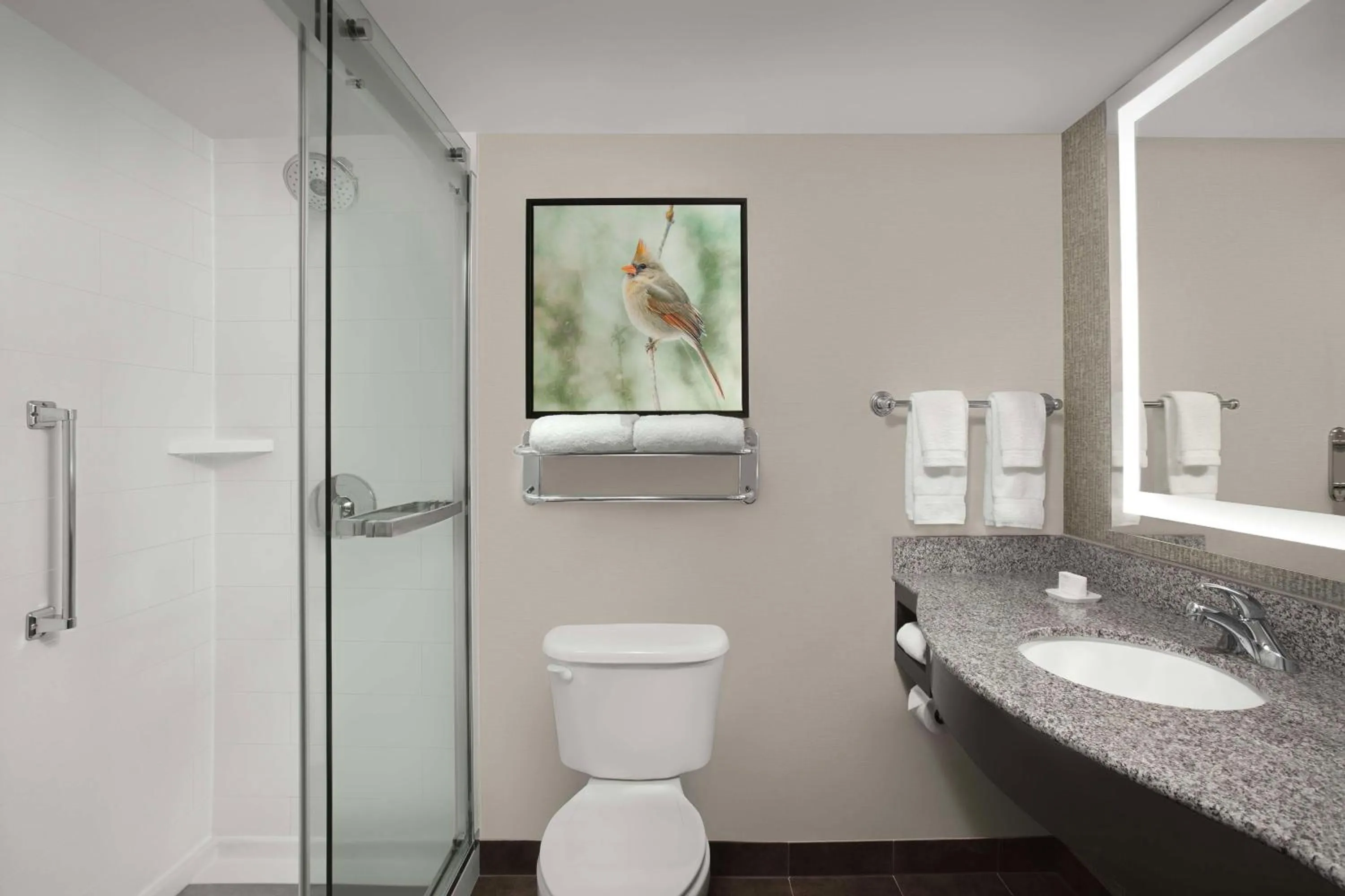 Bathroom in Hilton Garden Inn Hoffman Estates