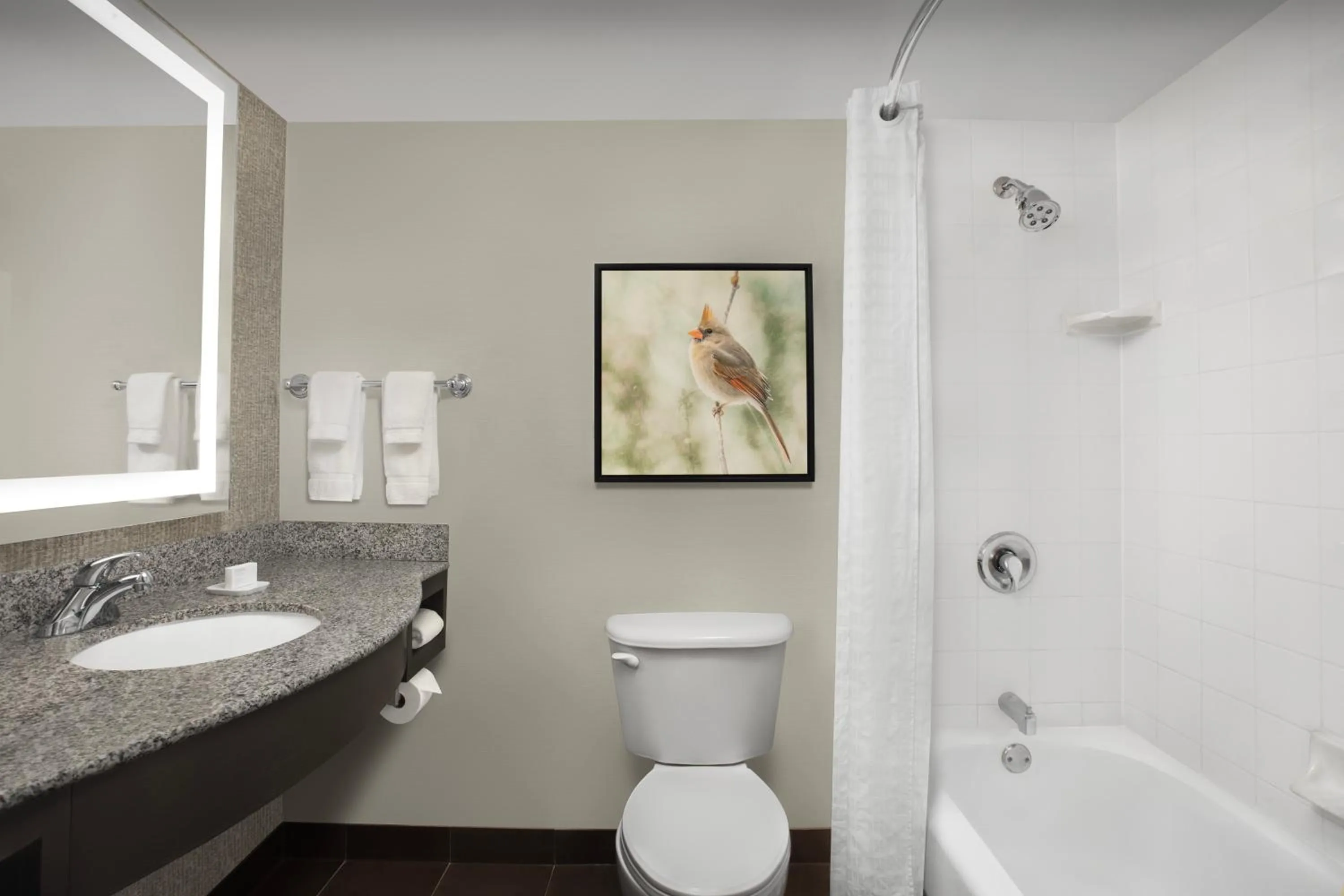 Bathroom in Hilton Garden Inn Hoffman Estates