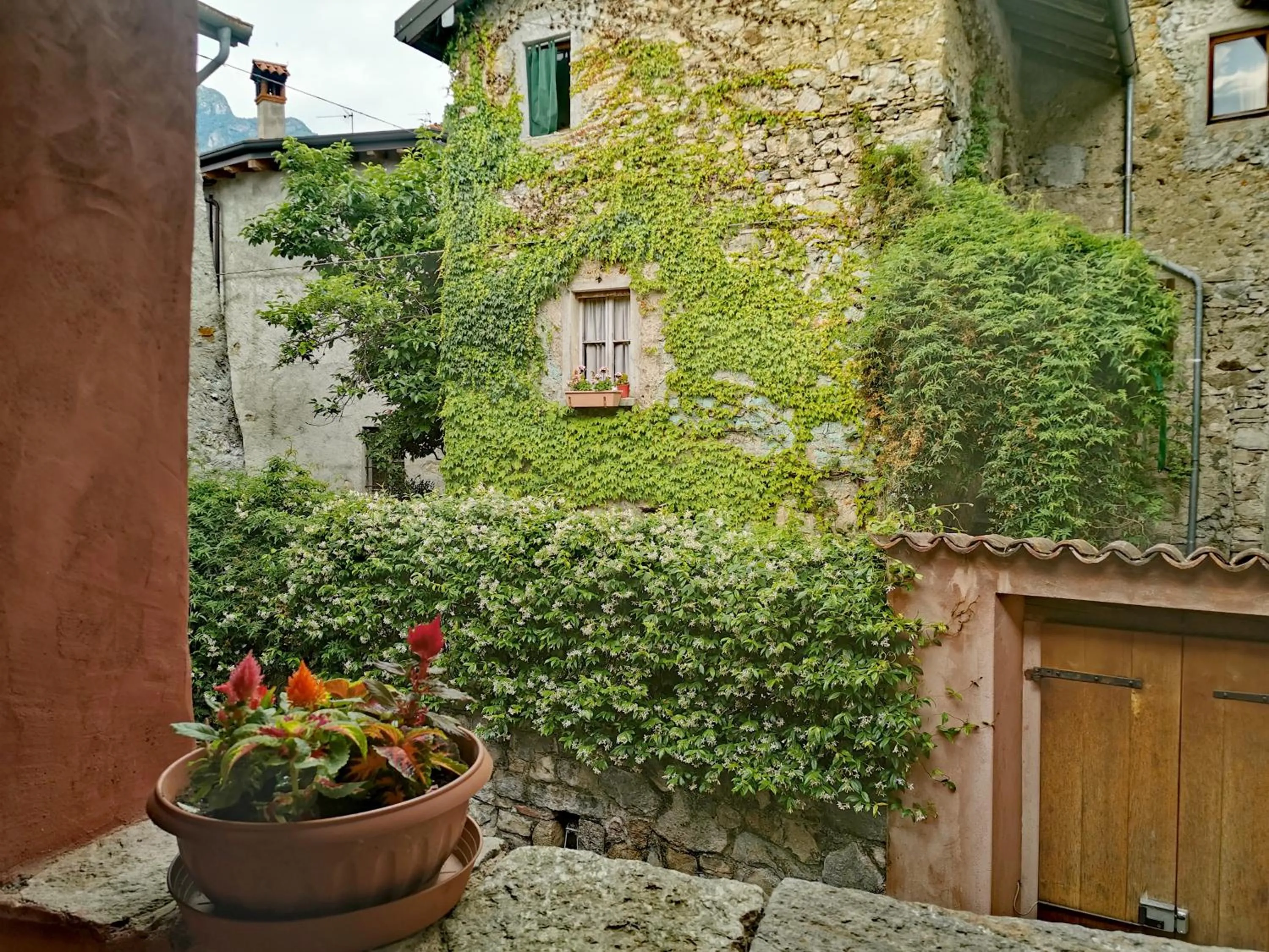 Property building in Alla Torre del Barbarossa B&B FORESTERIA