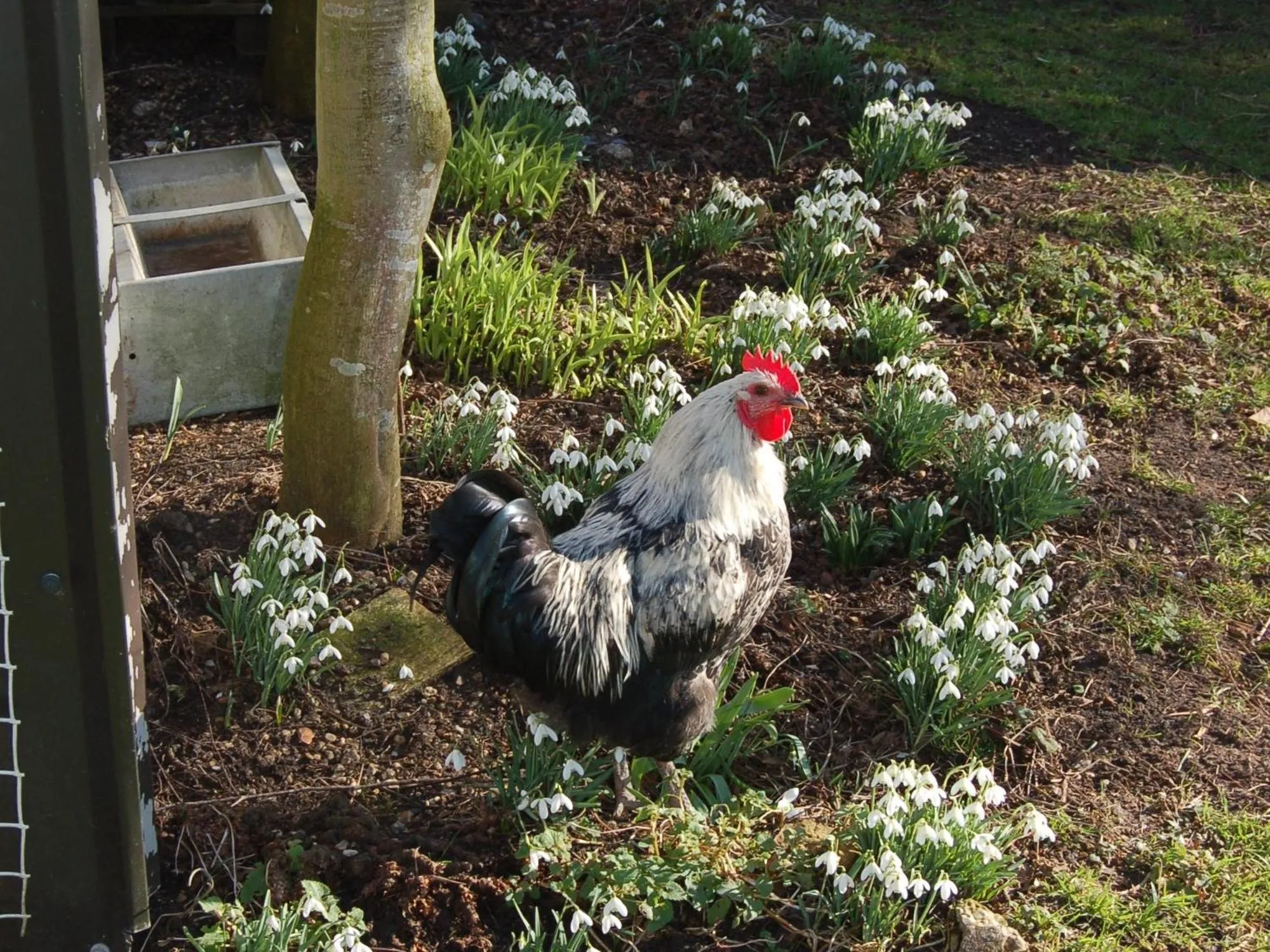 View (from property/room) in Strenneth
