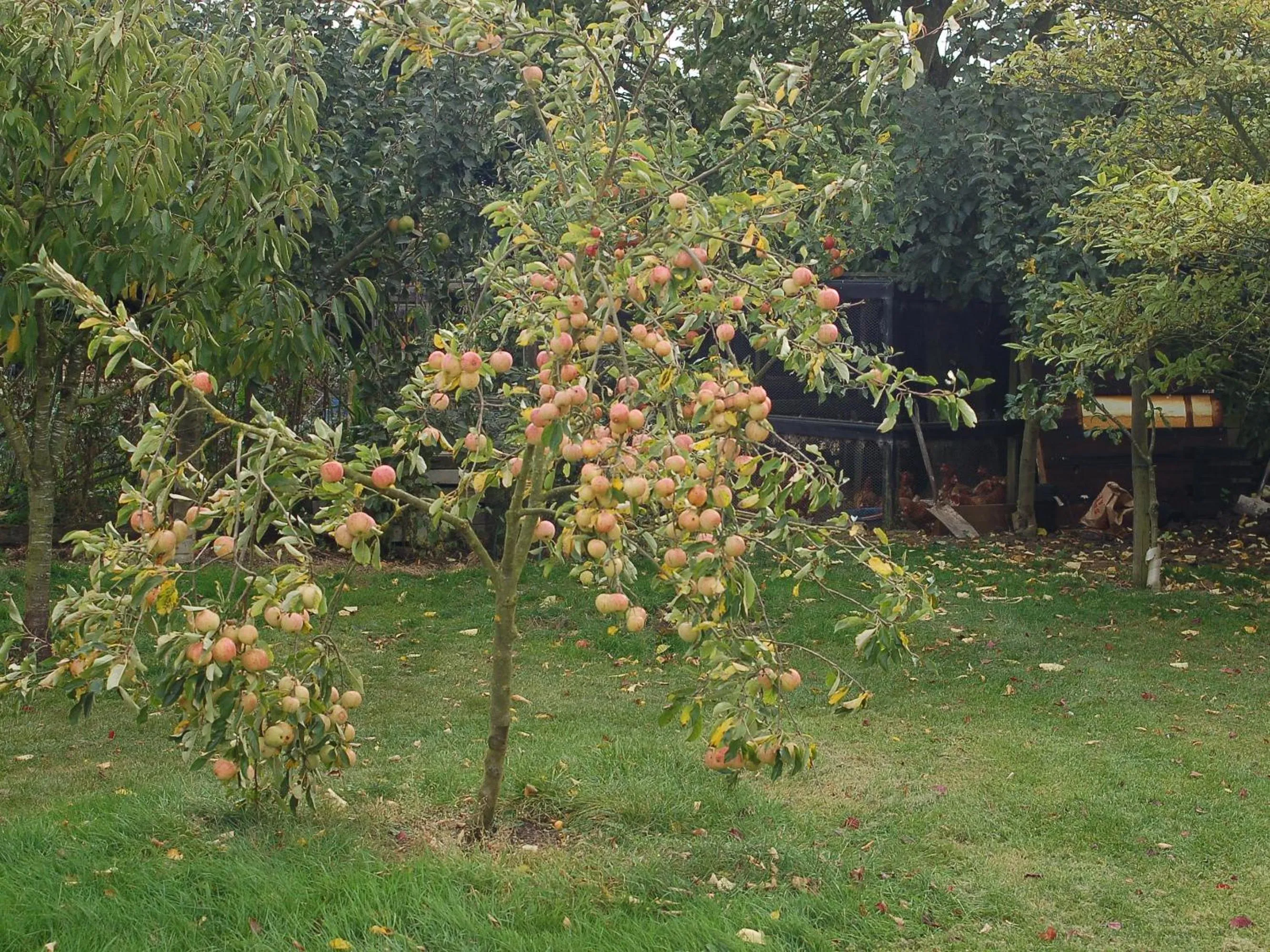 View (from property/room) in Strenneth