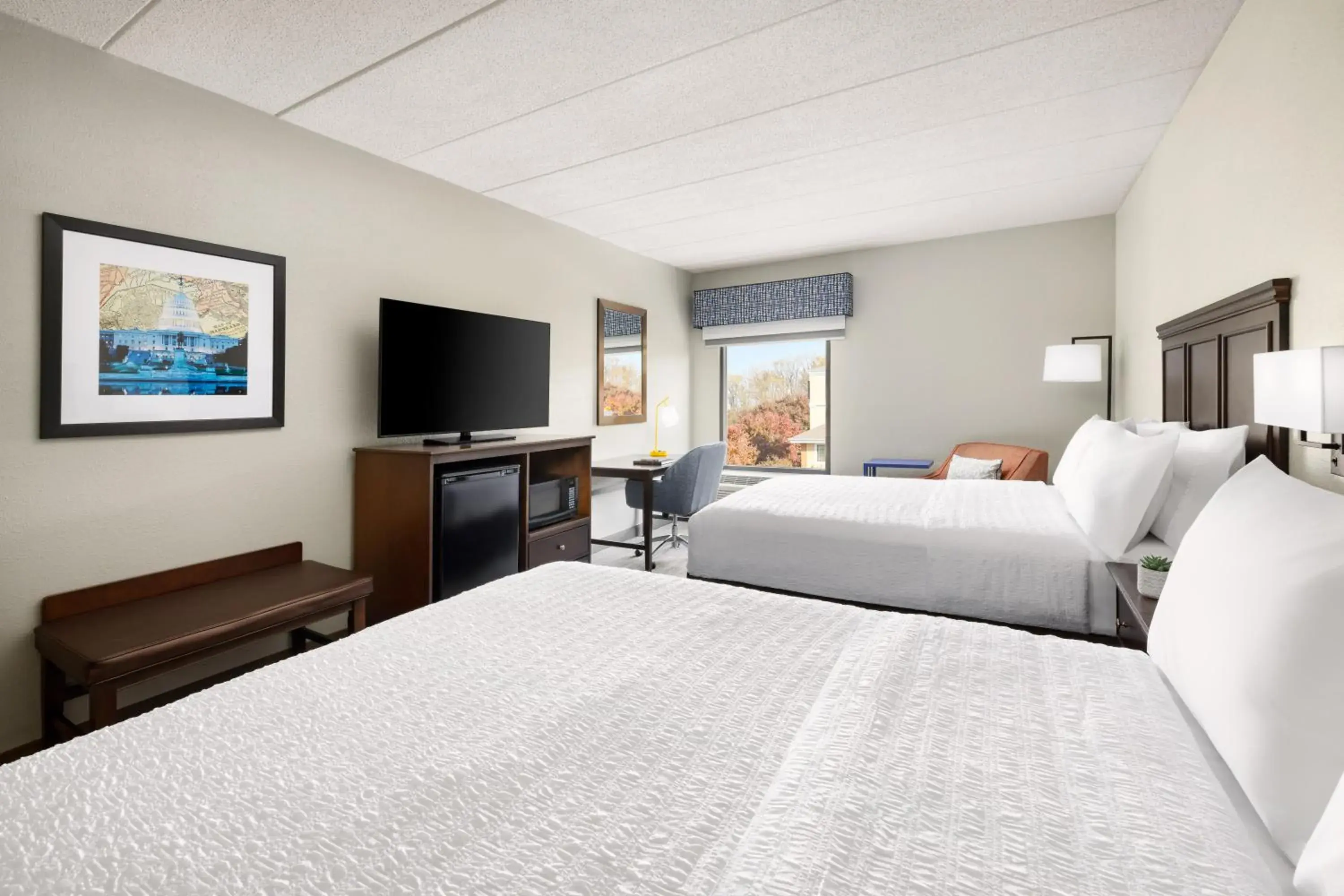 Guests, Bed in Hampton Inn Columbia, MD Guests, Bed in Hampton Inn Columbia, MD